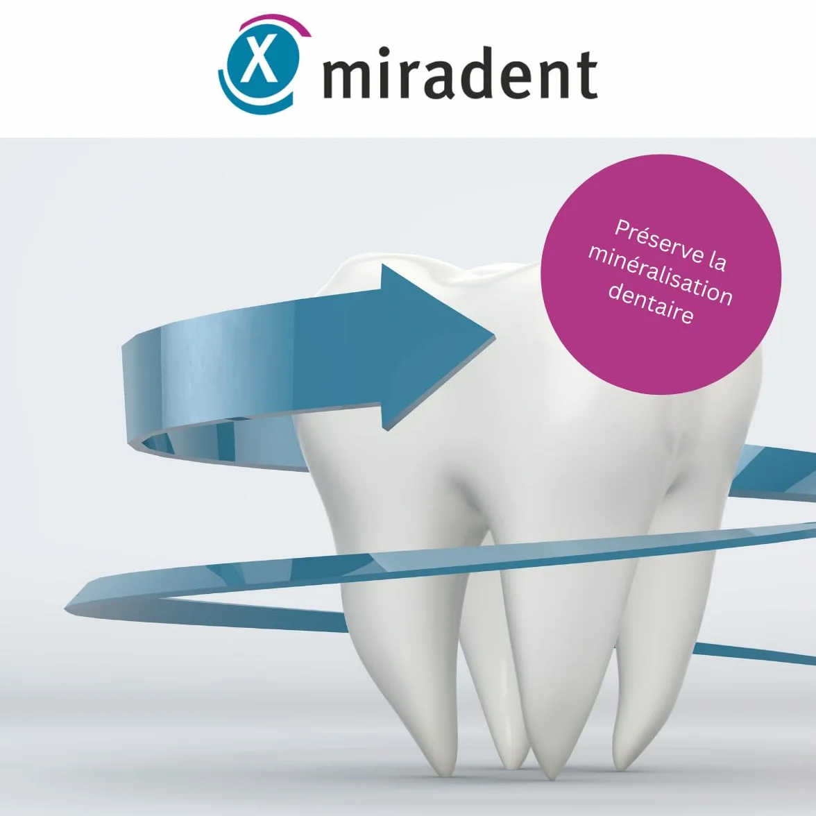 Miradent Chewing-gum dentaire au xylitol Pack économique 200 pcs goût Spearmint sans sucre vegan