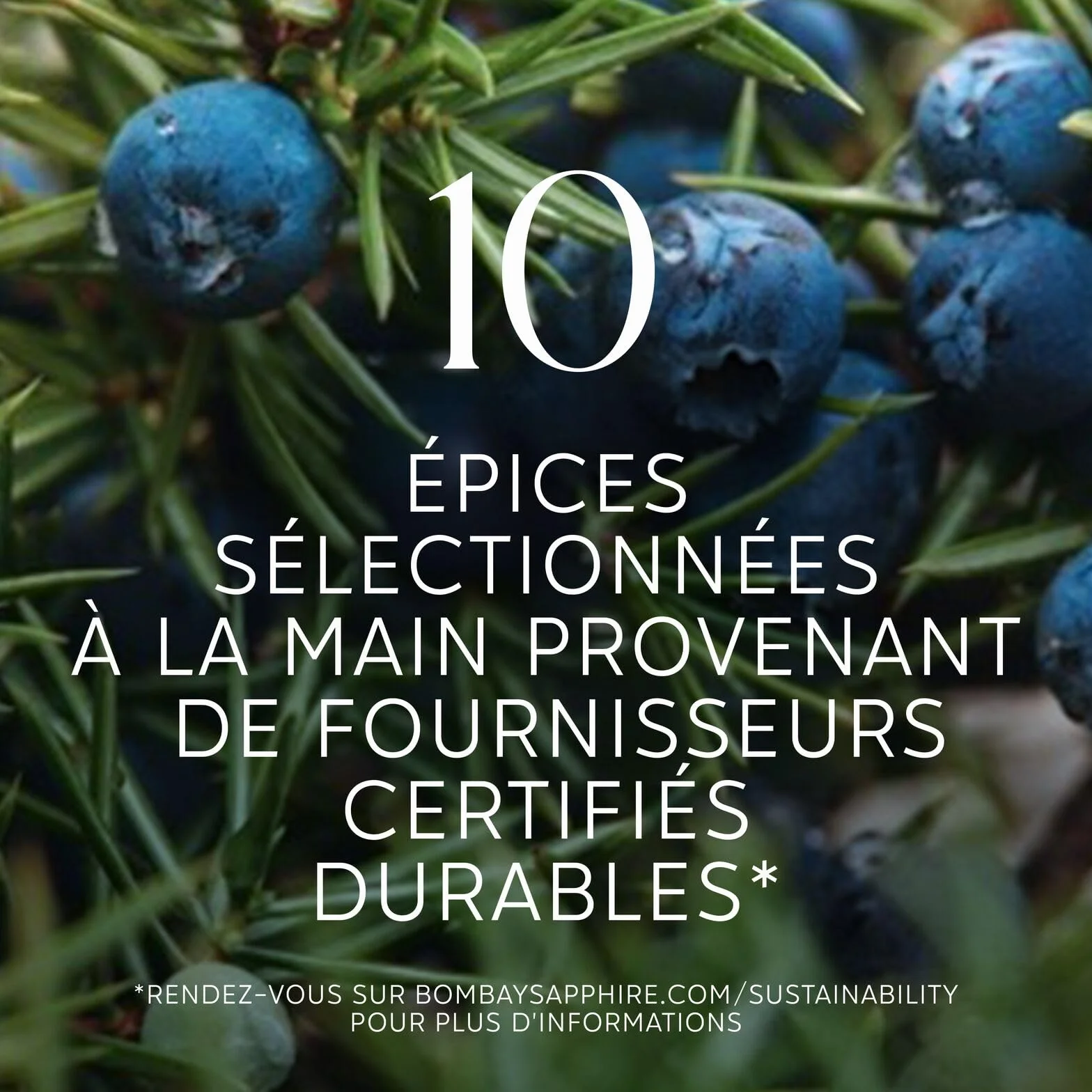 Bombay Sapphire London Dry Gin, 40 % vol., 70 cl / 700 ml, Un Spiritueux Infusé à la Vapeur, Élaboré à Partir de 10 Plantes Aromatiques Rigoureusement Sélectionnées à la Main