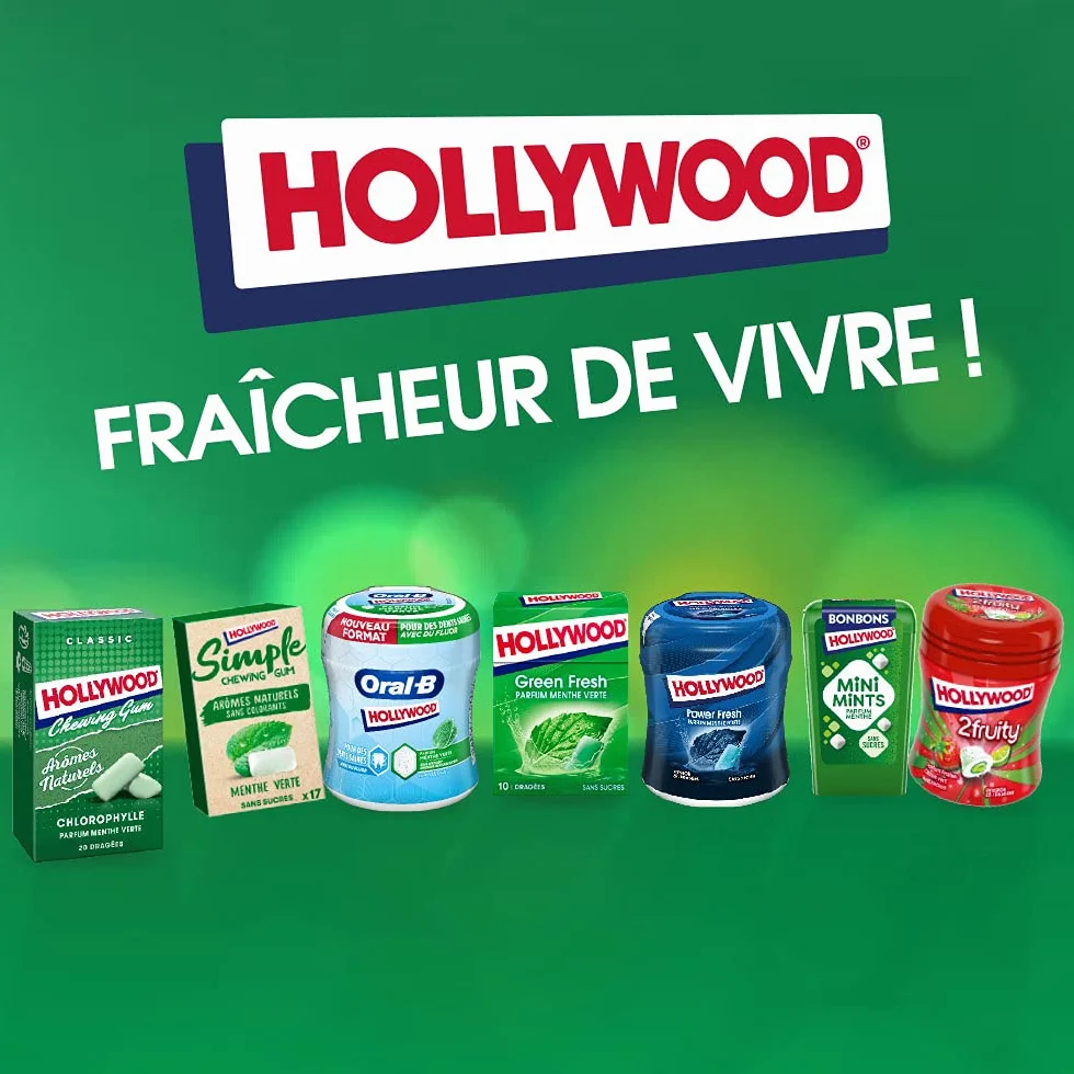 Hollywood Chewing Gum 2 Fresh Parfum Menthe Forte Sans Sucres Lot de 16 paquets 22 g