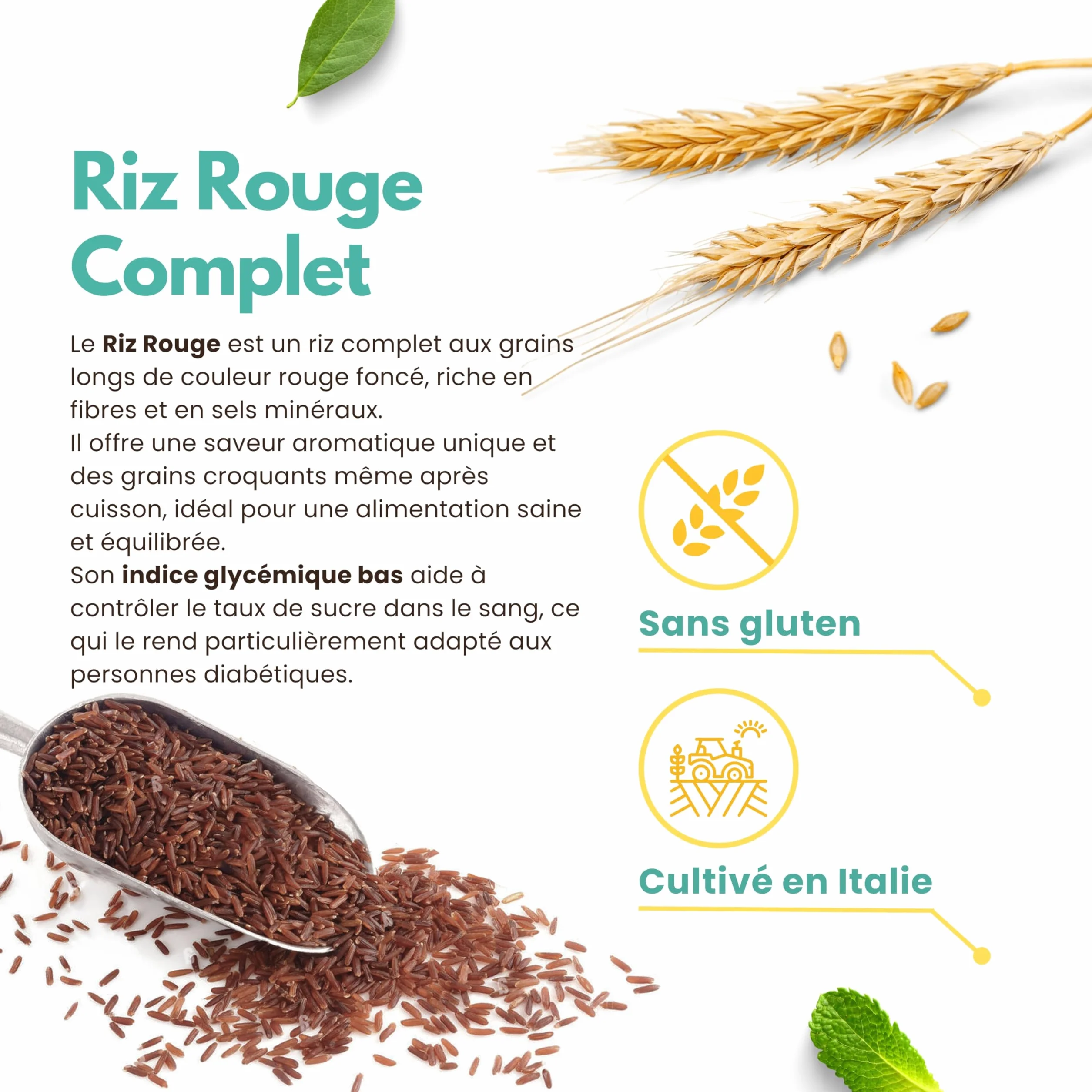 Riz Rouge Italien Complet – 2 kg (2 x 1 kg) – Riche en Fibres et Antioxydants – Sans Gluten – Idéal pour Salades et Accompagnements Sains – Piémont | 13 di Ilaria