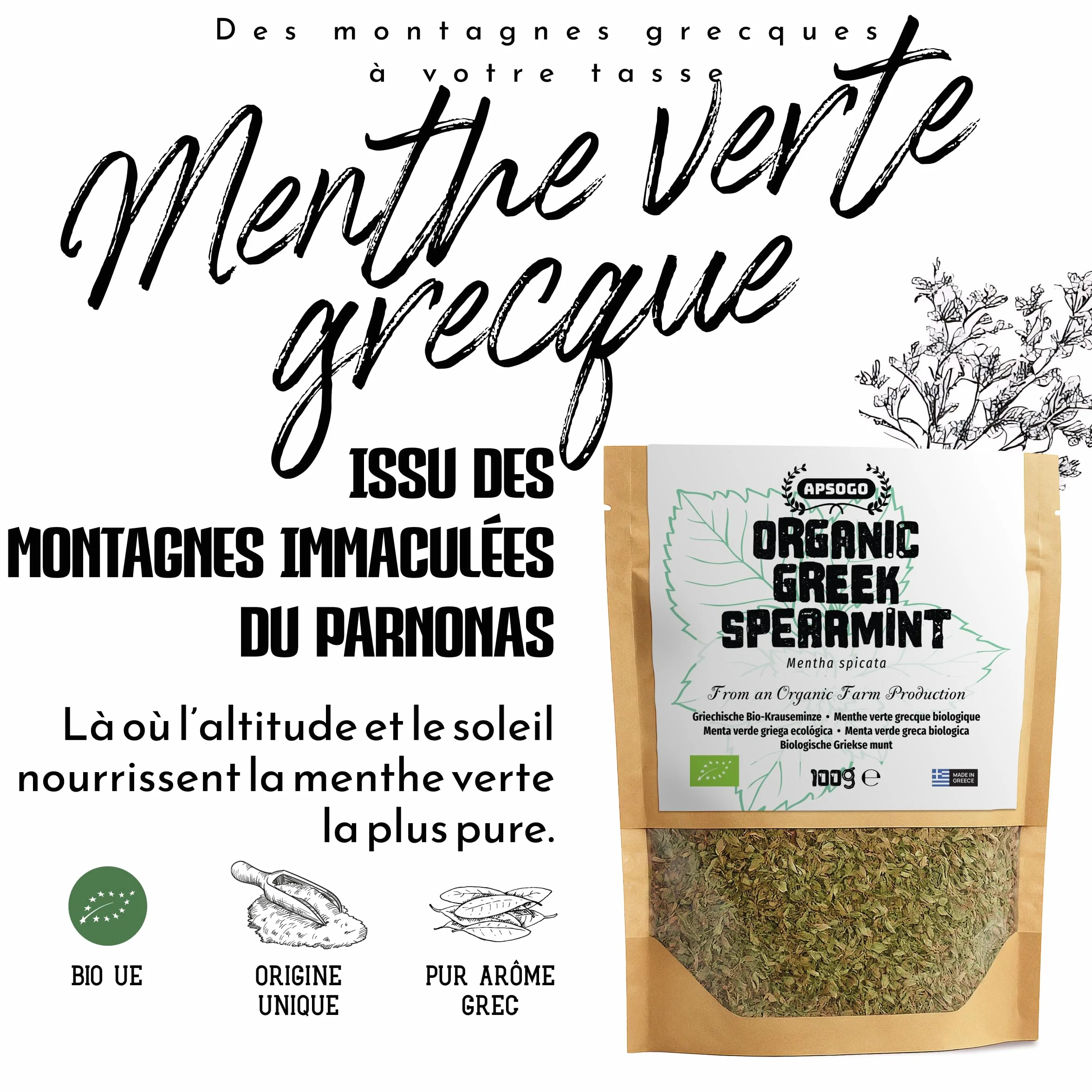 Menthe verte biologique séchée de Grèce Apsogo Spearmint