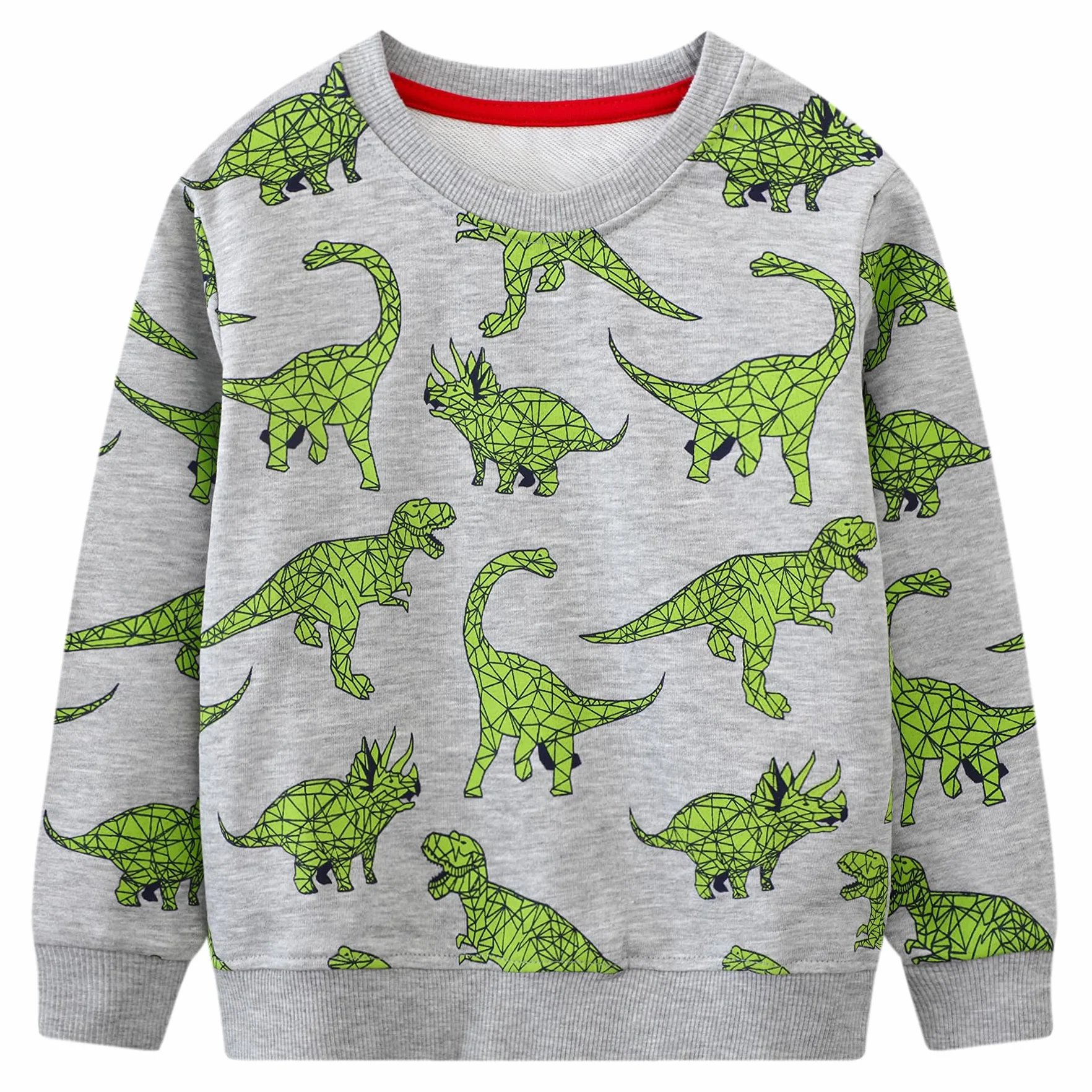 Sweatshirt Garcon Pull Enfant Dinosaure Manches Longues Coton 2-7 Ans