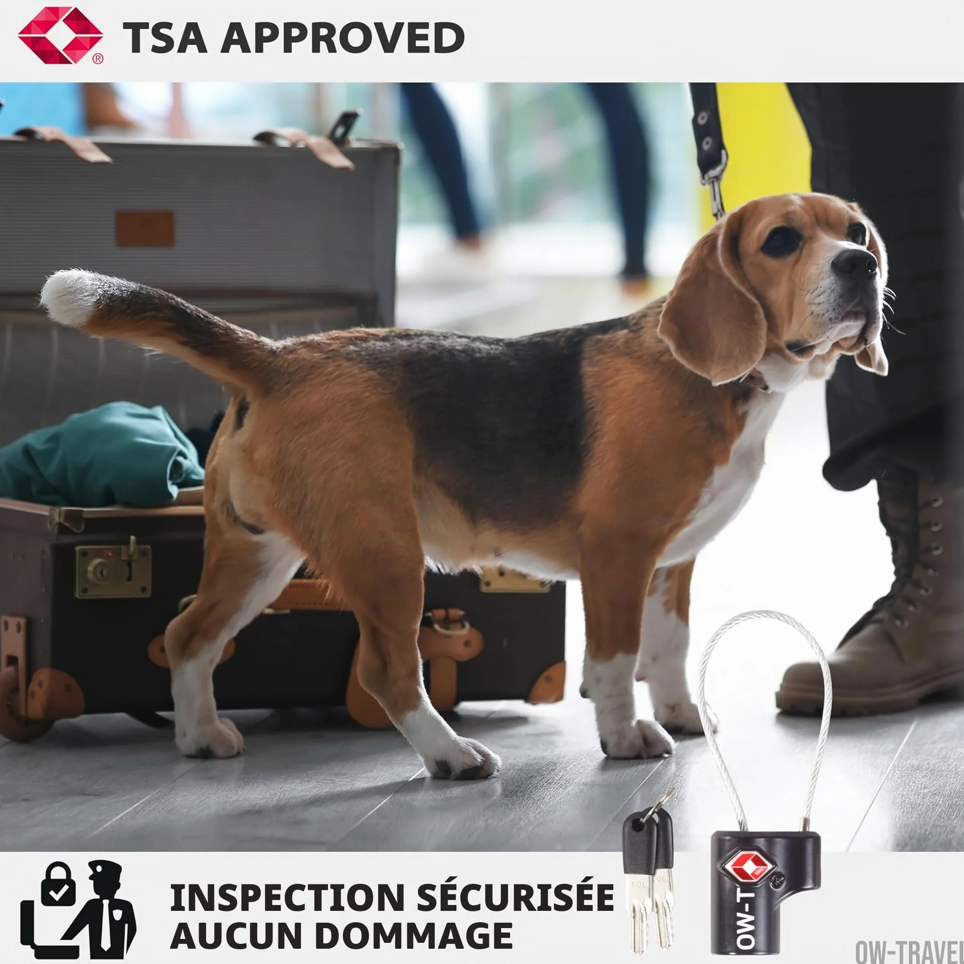 Cadenas Cable Clé Antivol pour Bagages Valise Avion TSA (2 Pcs Noire)