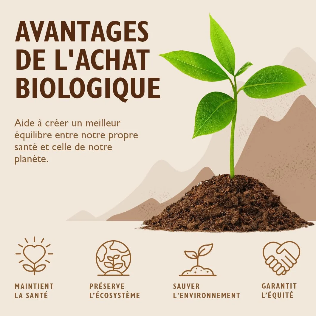 Sevenhills Wholefoods. Sucre de Fleur de Coco Bio 1,8kg, nectar de cocotier, pour boissons, desserts et pâtisseries, non raffiné, sans additifs, faible indice glycémique