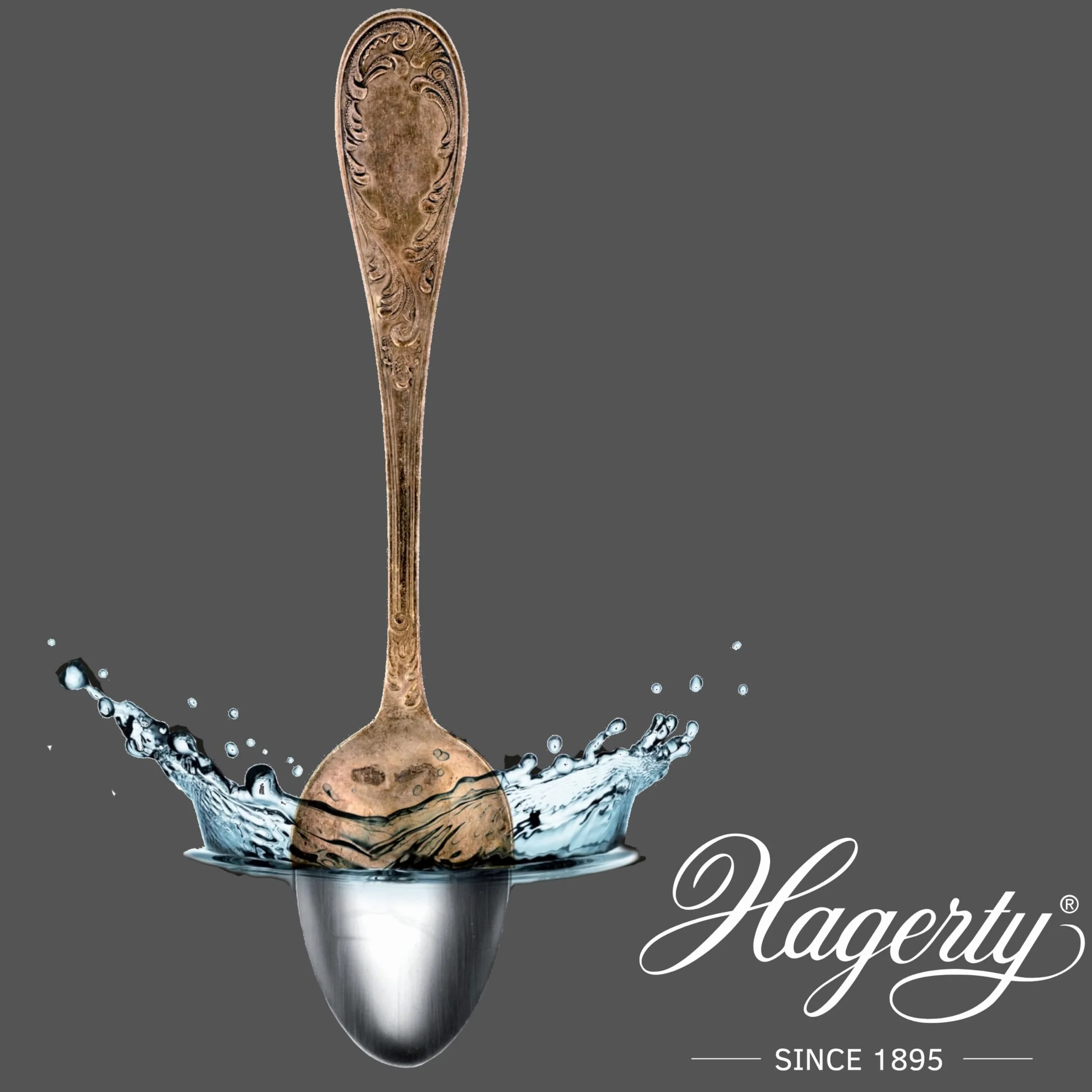 Hagerty Bain d'immersion pour l'argenterie 580 ml nettoyage couverts argent métal argenté protection ternissure