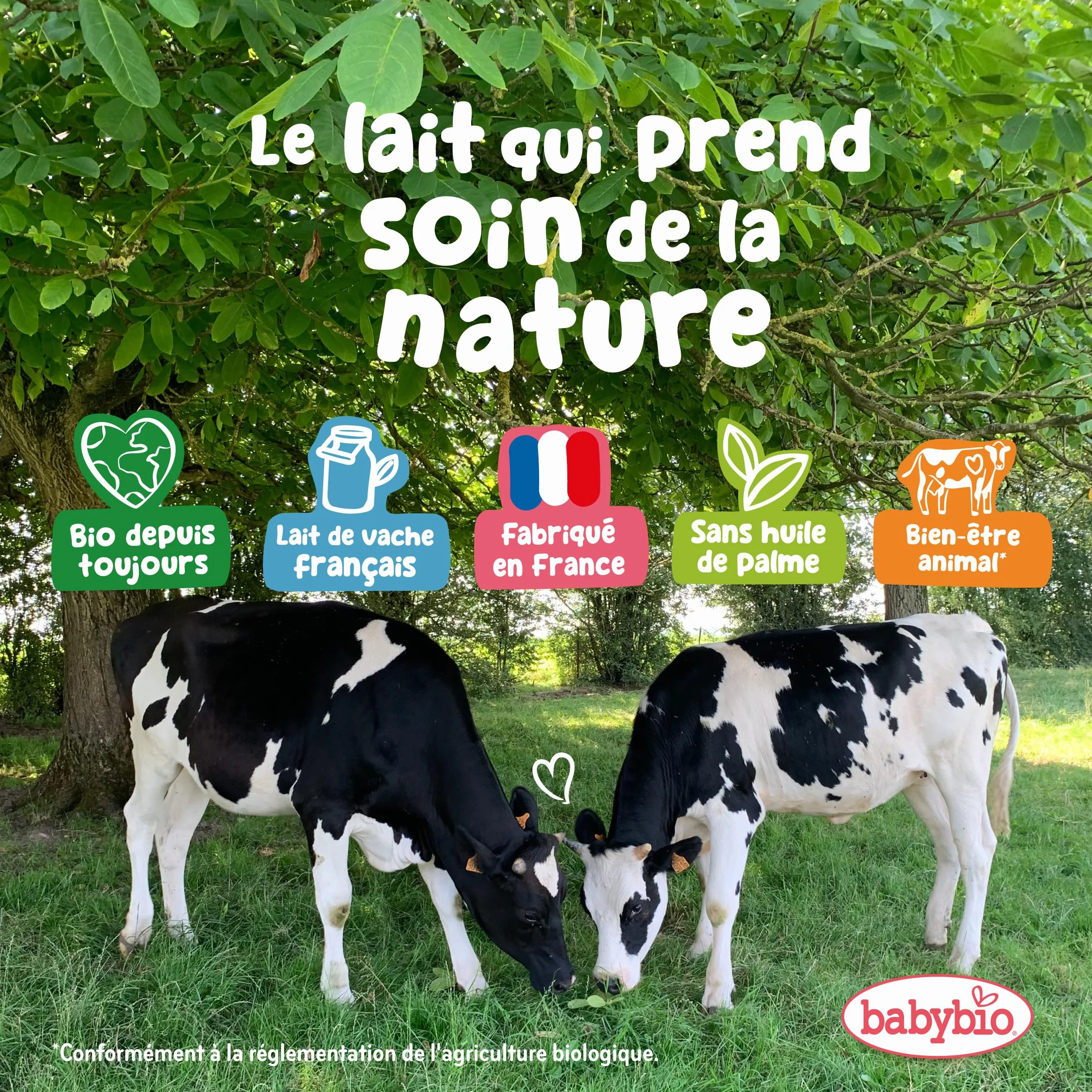 Babybio Croissance Lait de Vache 10 mois 6 x 1L