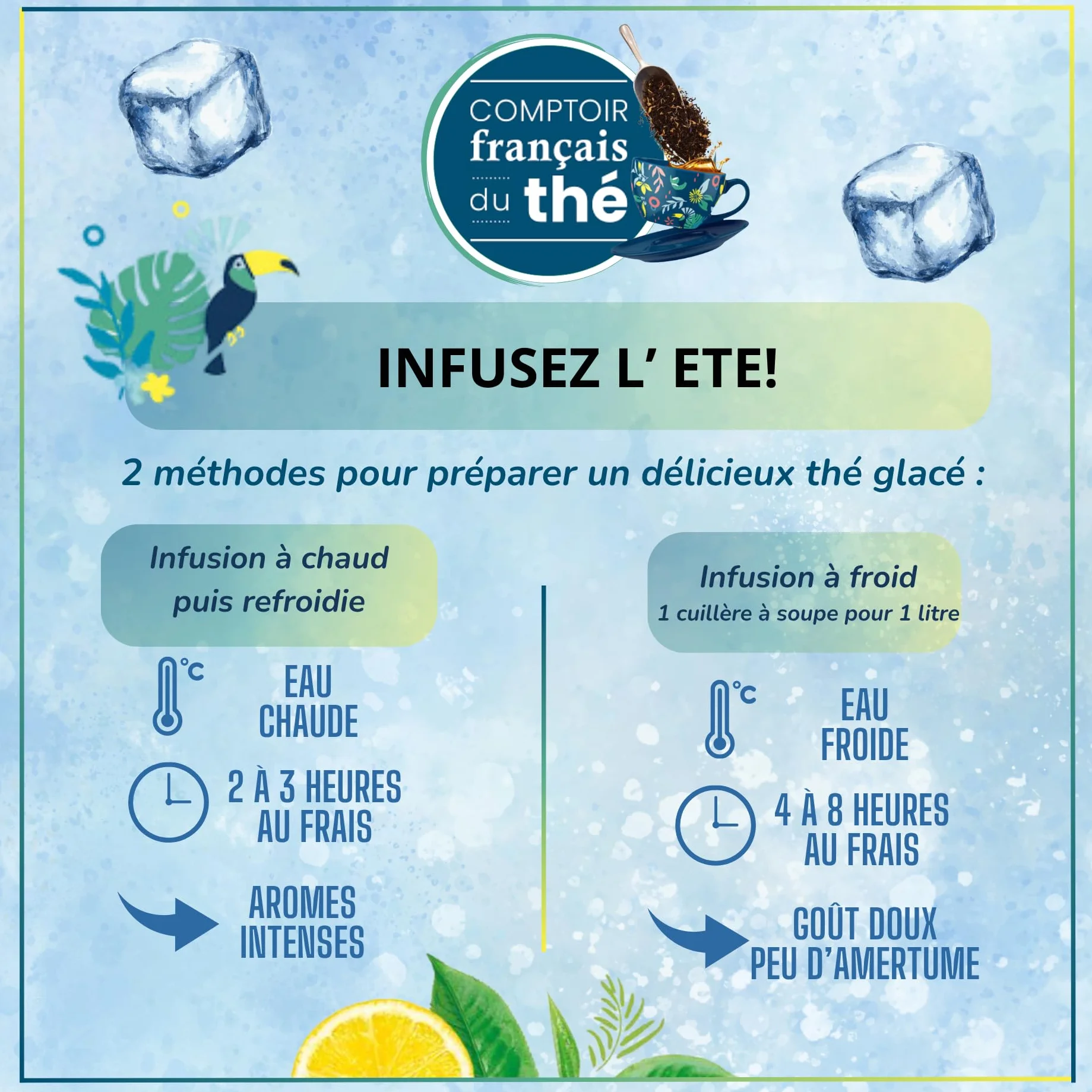 2x100g d'Infusion - Tilleul Menthe COMPTOIR FRANÇAIS DU THÉ | Notes de Tilleul et de Menthe - À déguster tout au long de la journée - Infusion en vrac, sachet zip refermable - thé de Noël