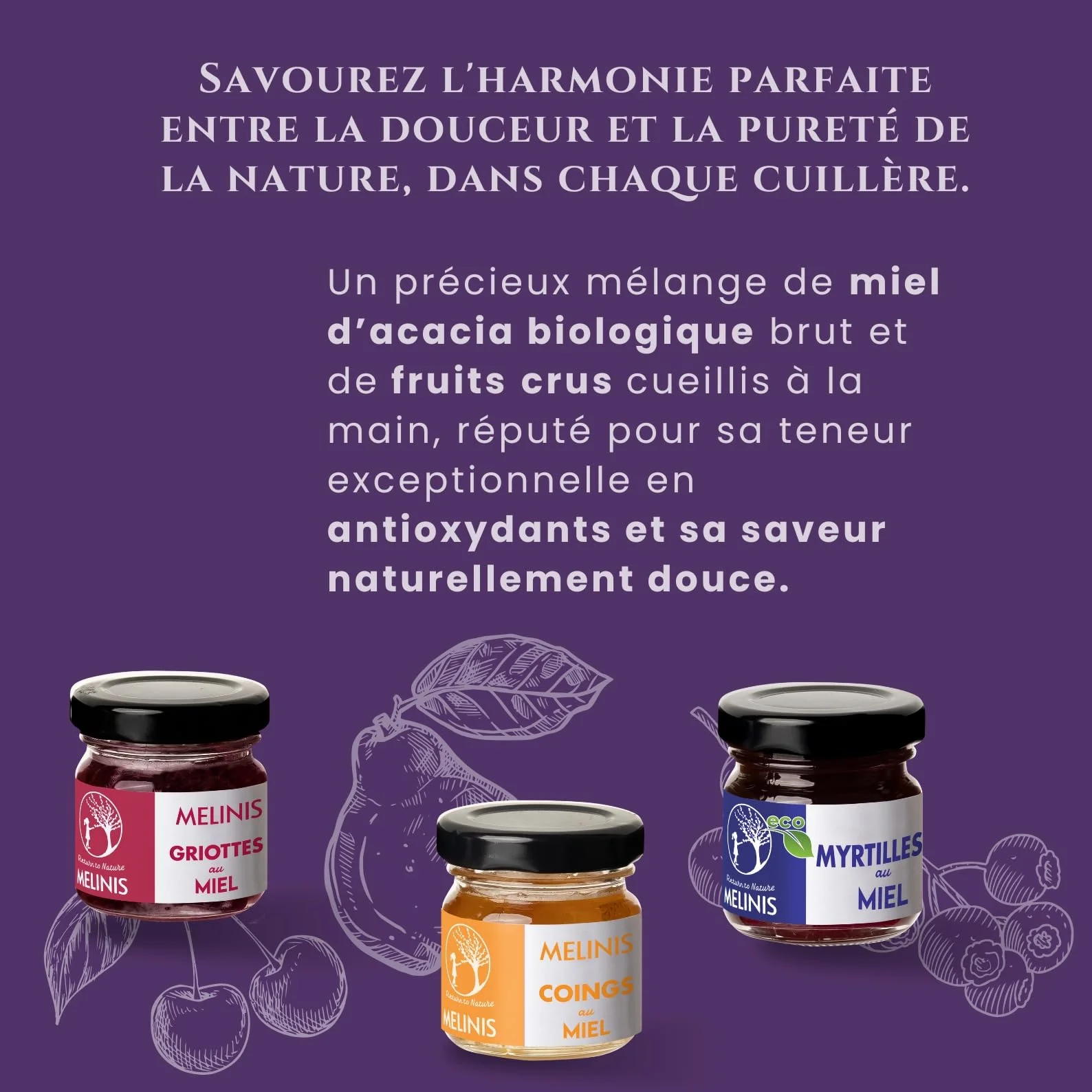 Coffret Dégustation 3 × 40 g – Miel Bio Tartinable aux Myrtilles, Coings Bereczki et Griottes – Sans Sucre Ajouté – Tartinables Naturels pour Petit-Déjeuner, Snacks et Cadeau Gourmet – Melinis