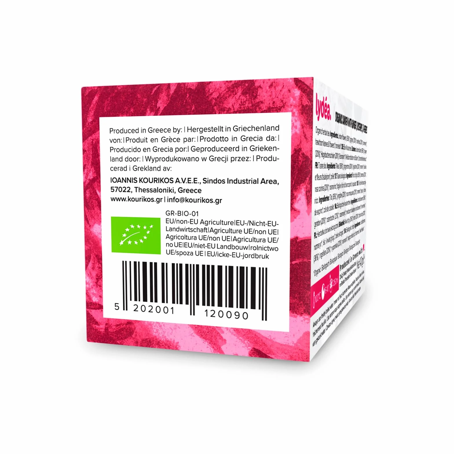 Lydea Tisane bio, tilleul avec gingembre, cynorrhodon et herbes, 60 pyramides, lot de 3 [3 x 20 pyramides]
