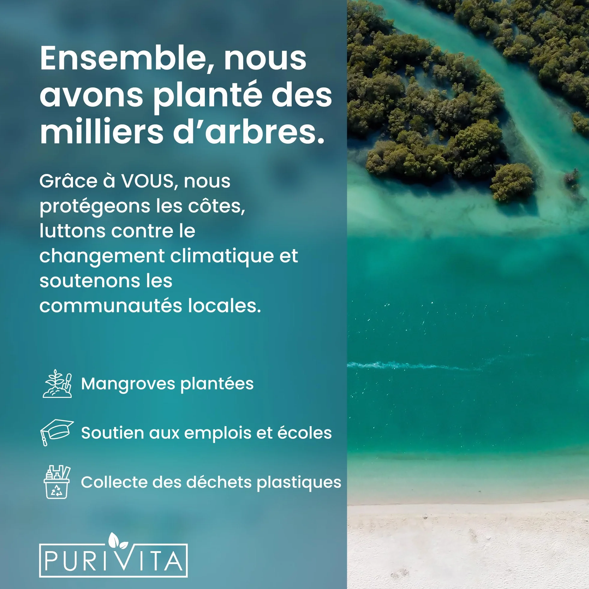 PURIVITA Nettoyeur Ultrasons Concentré 1L - Nettoyant pour Appareils Ultrasons - Liquide pour Lunettes, Bijoux & Monnaie