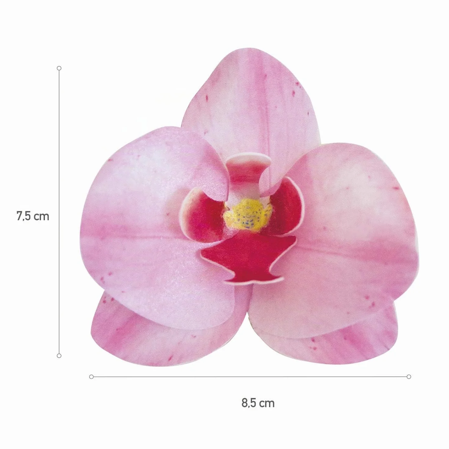 dekora – Fleurs Comestibles pour Gâteau, 10 Gaufrettes Orchidées roses 8.5 x 7.5 cm, sans sucre, sans gluten, sans lactose, Décoration Gâteau pour Anniversaire, Mariage, Baptême