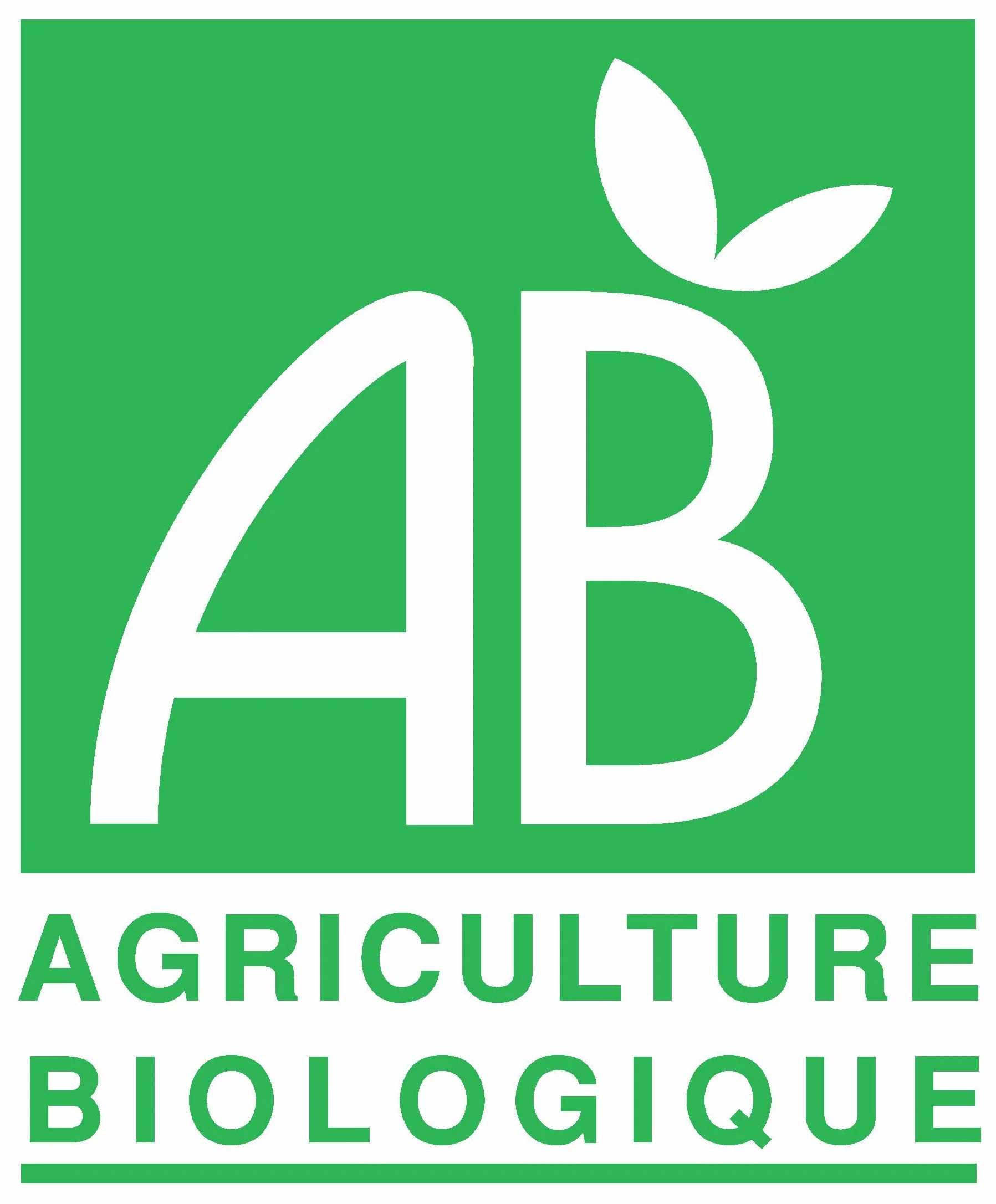 Cannelle de Ceylan biologique en poudre 1000gr. Origine Madagascar sachet zip alimentaire.
