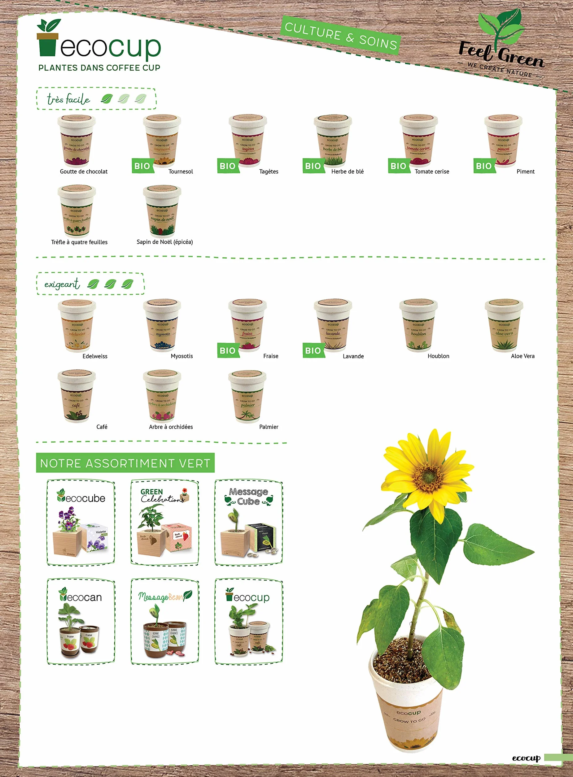 Feel Green Ecocup, Houblon, Idée Cadeau (100% Ecologique), Grow-Your-Own/Kit Prêt-à-Pousser, Plantes Dans Coffee Cup 10 x 8 cm, Produit En Autriche