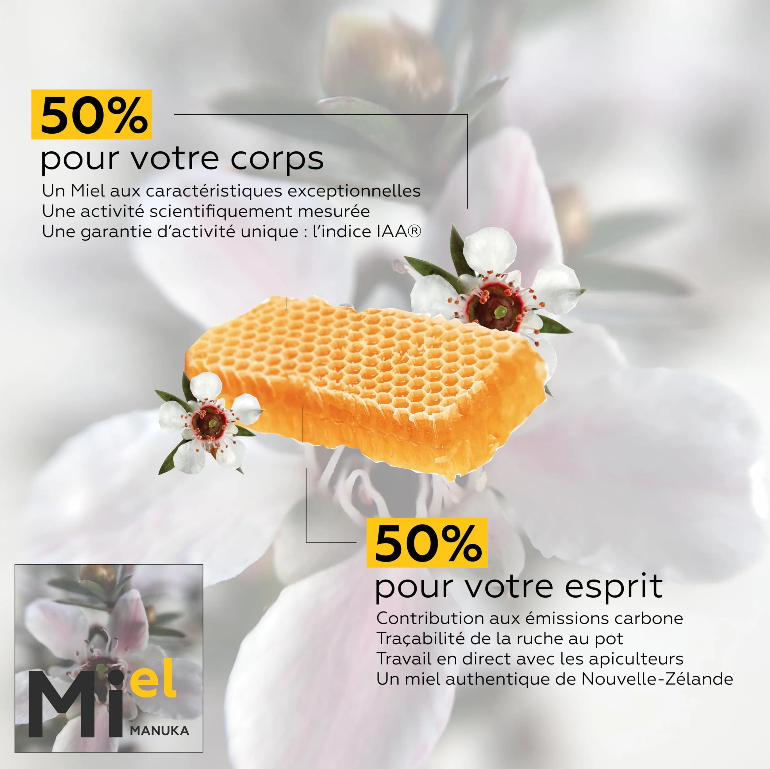 COMPTOIRS ET COMPAGNIES - Miel de Manuka Actif - IAA18+ (MGO696+) - Origine Nouvelle Zélande - 250g