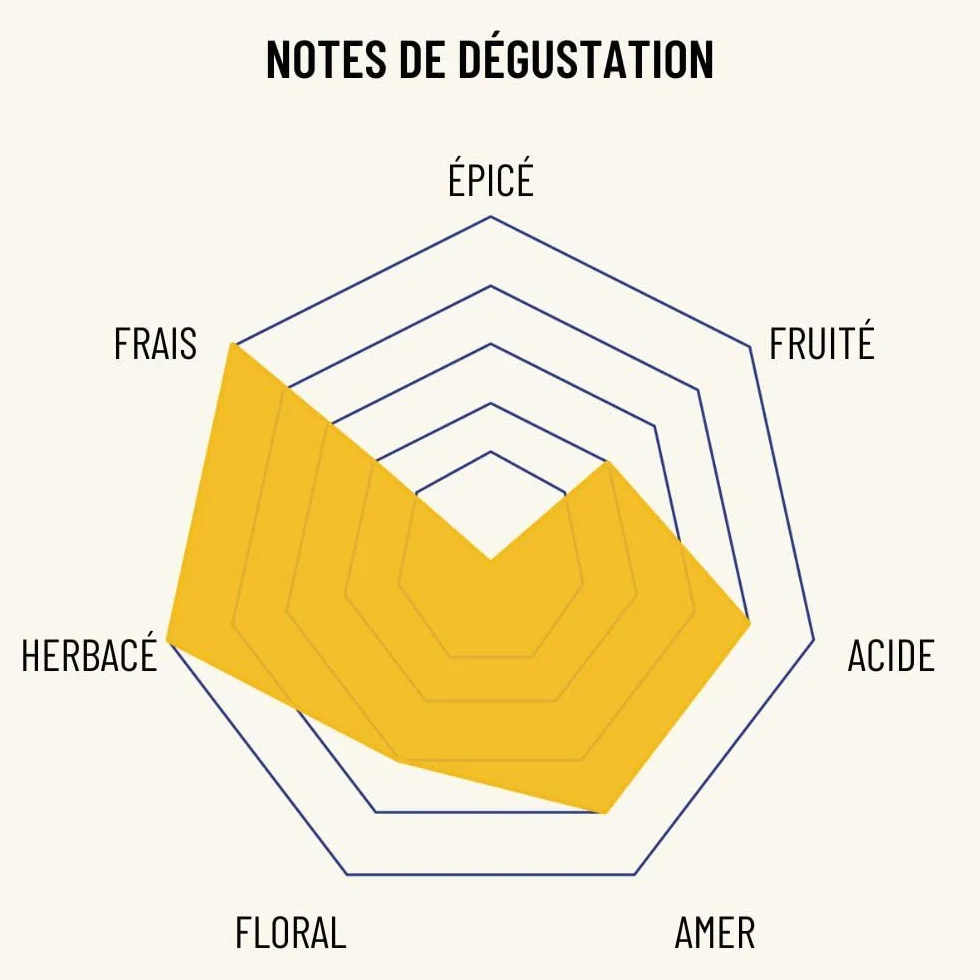 OSCO L'Original apéritif sans alcool 0.0% bio 700 ml - Spiritueux sans alcool amer, aromatique, frais - Apéritf vegan, sans gluten, plusieurs fois primé et à faible teneur en sucre