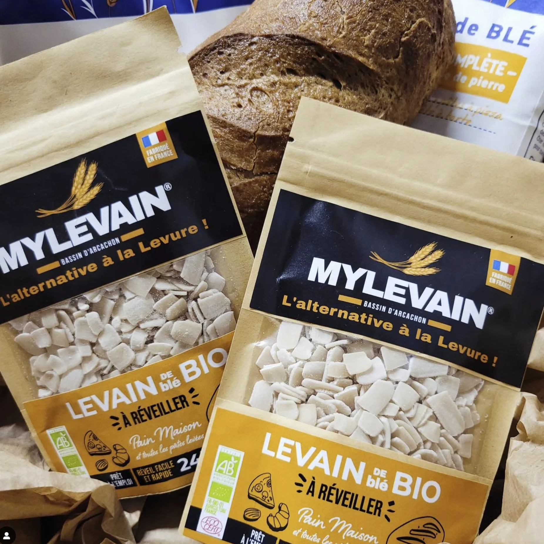 MYLEVAIN Levain Biologique Naturel Français Vivant (Millésime 2009) - Réveil rapide 24H