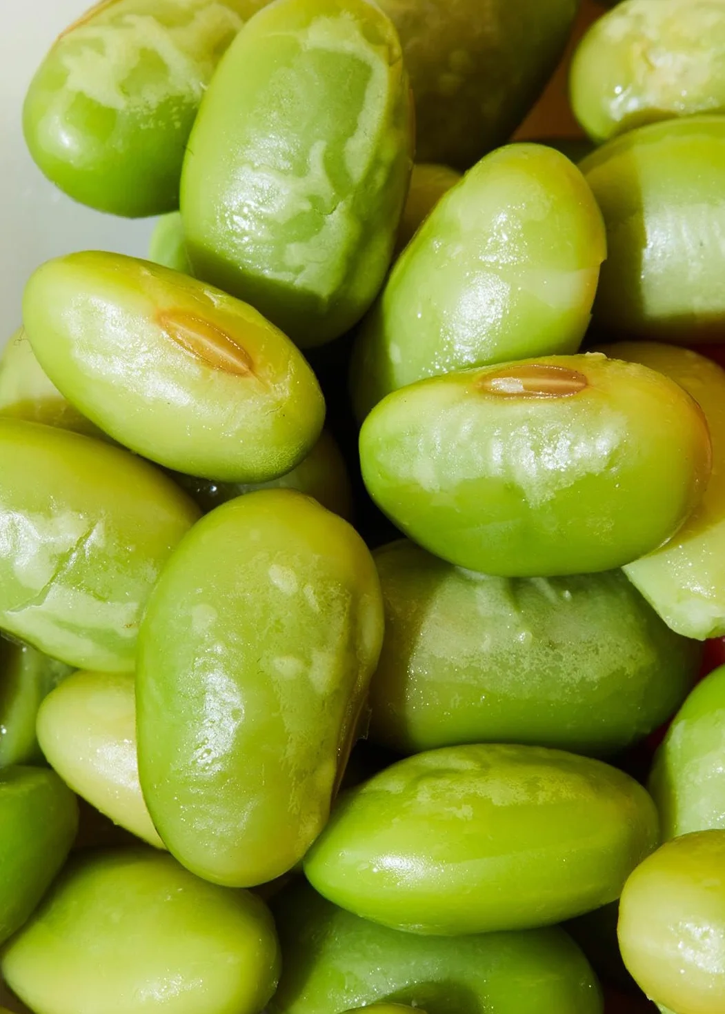 KoRo - Fèves de soja vertes Edamame bio en boîte 12 x 130 g - Précuit - Traitées à la récolte - Snack malin