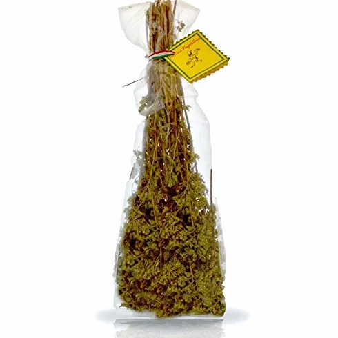 Origan branche italienne - Offrez 5 pièces