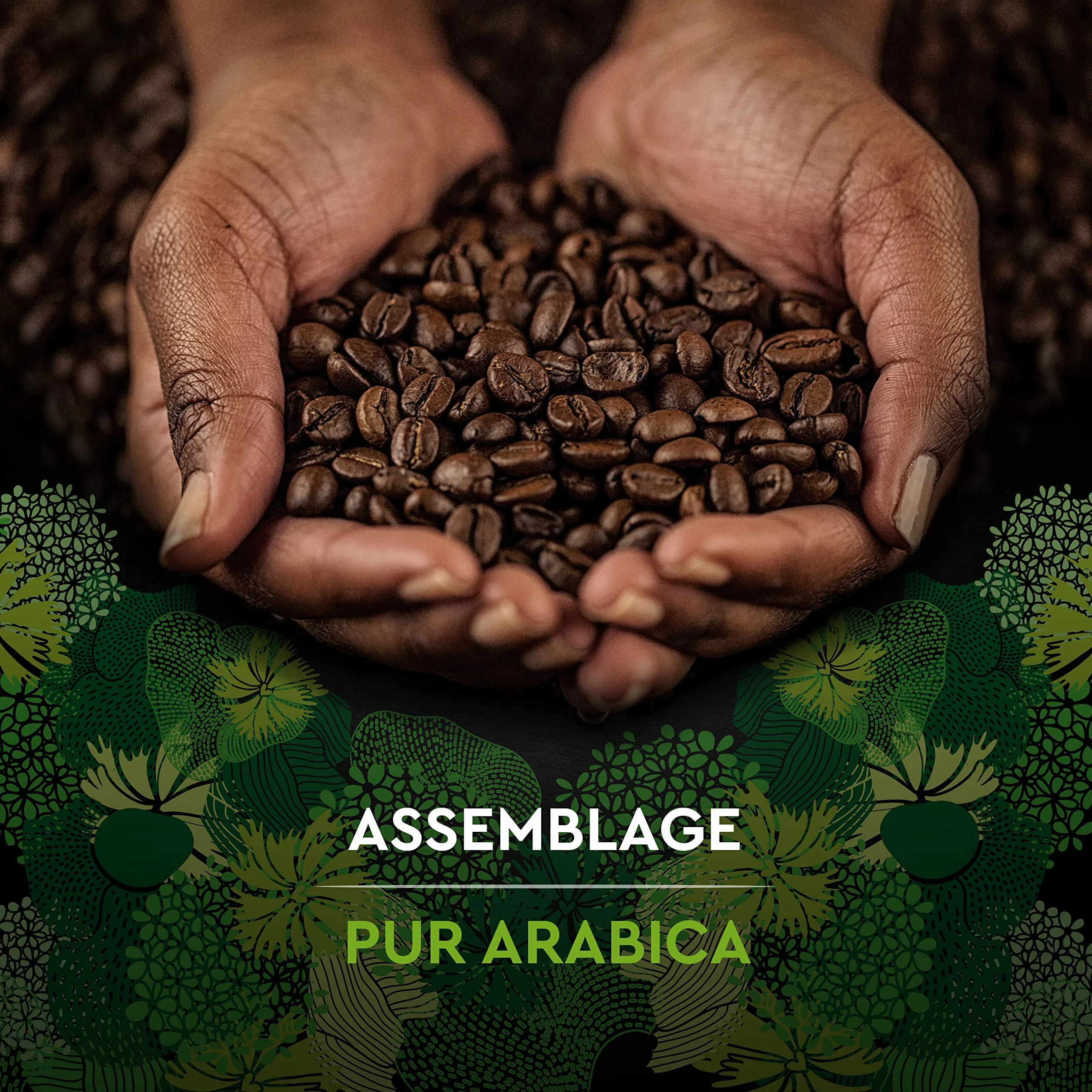 CARTE NOIRE - Café Grain Bio - 100 % Arabica - Origine Amérique Latine - Paquet de 1 kg - Fabriqué en France