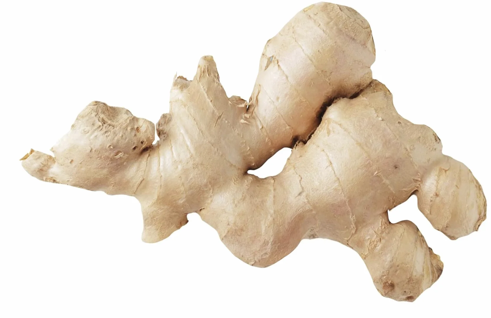 Gingembre Frais - Lot de 1, 2, 5, 10 et 20kg - Livraison Gratuite France - Expédition depuis France par la sté Bo Time (1)