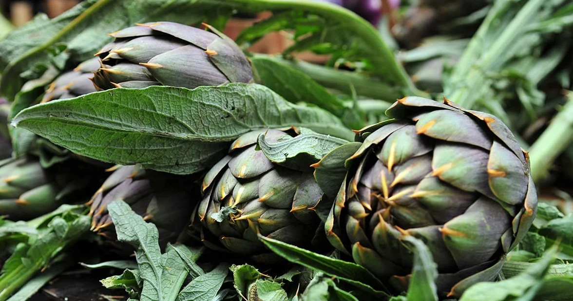 Taudì Conserve – Cœurs d’Artichauts à l’Huile d’Olive – Recette Artisanale Sicilienne – 100% Naturel, Sans Conservateurs – Idéal pour Apéritifs, Salades & Plats Gourmets – Pot en Verre 510 g