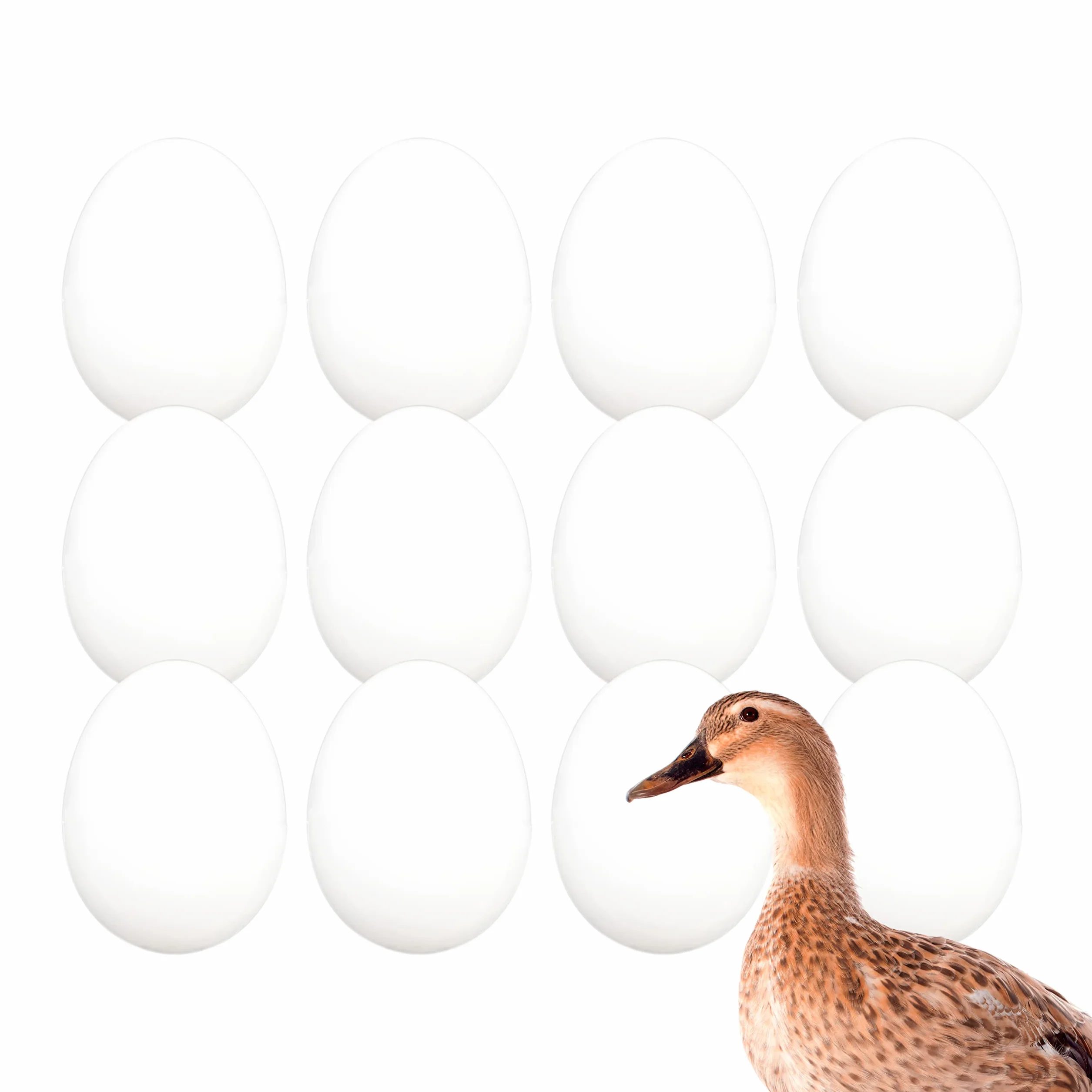 FINCA CASAREJO Œuf Faux Mouton Canard