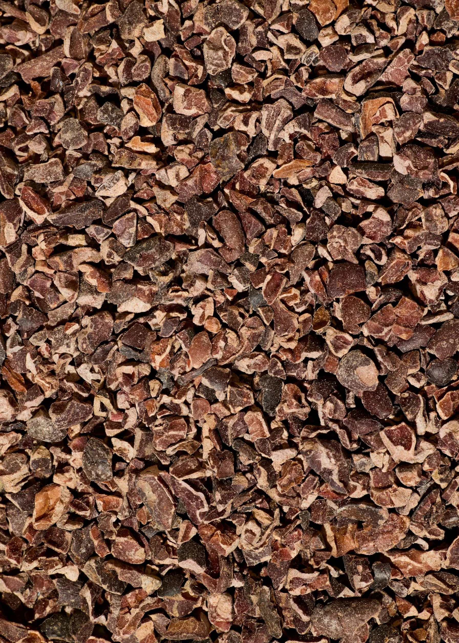KoRo - Grués de cacao Fairtrade bio 500 g - Fèves décortiquées et torréfiées - Goût chocolaté - Riche en fibres