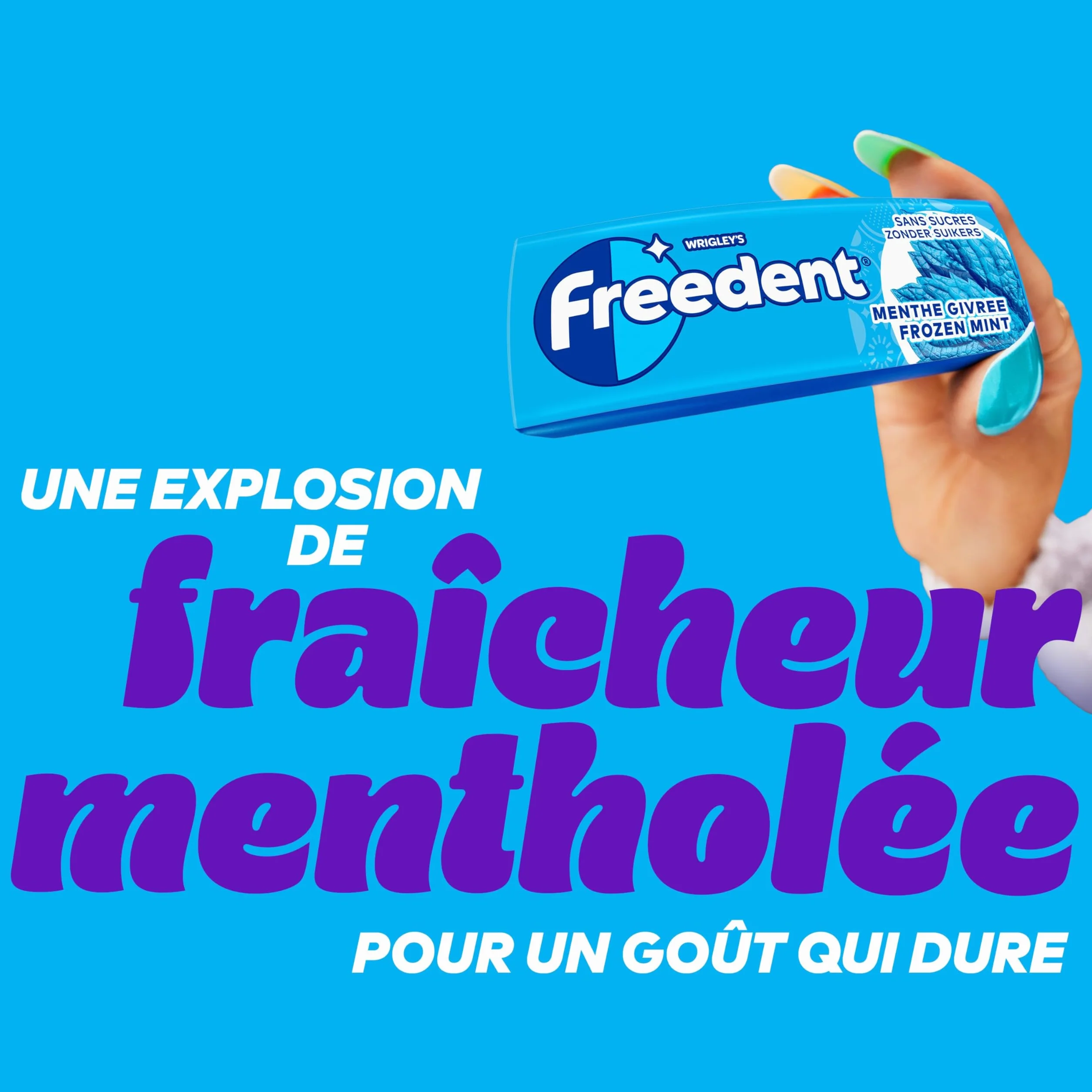 FREEDENT Chewing Gum Sans Sucre Goût Menthe Givrée 5 Paquets 70g