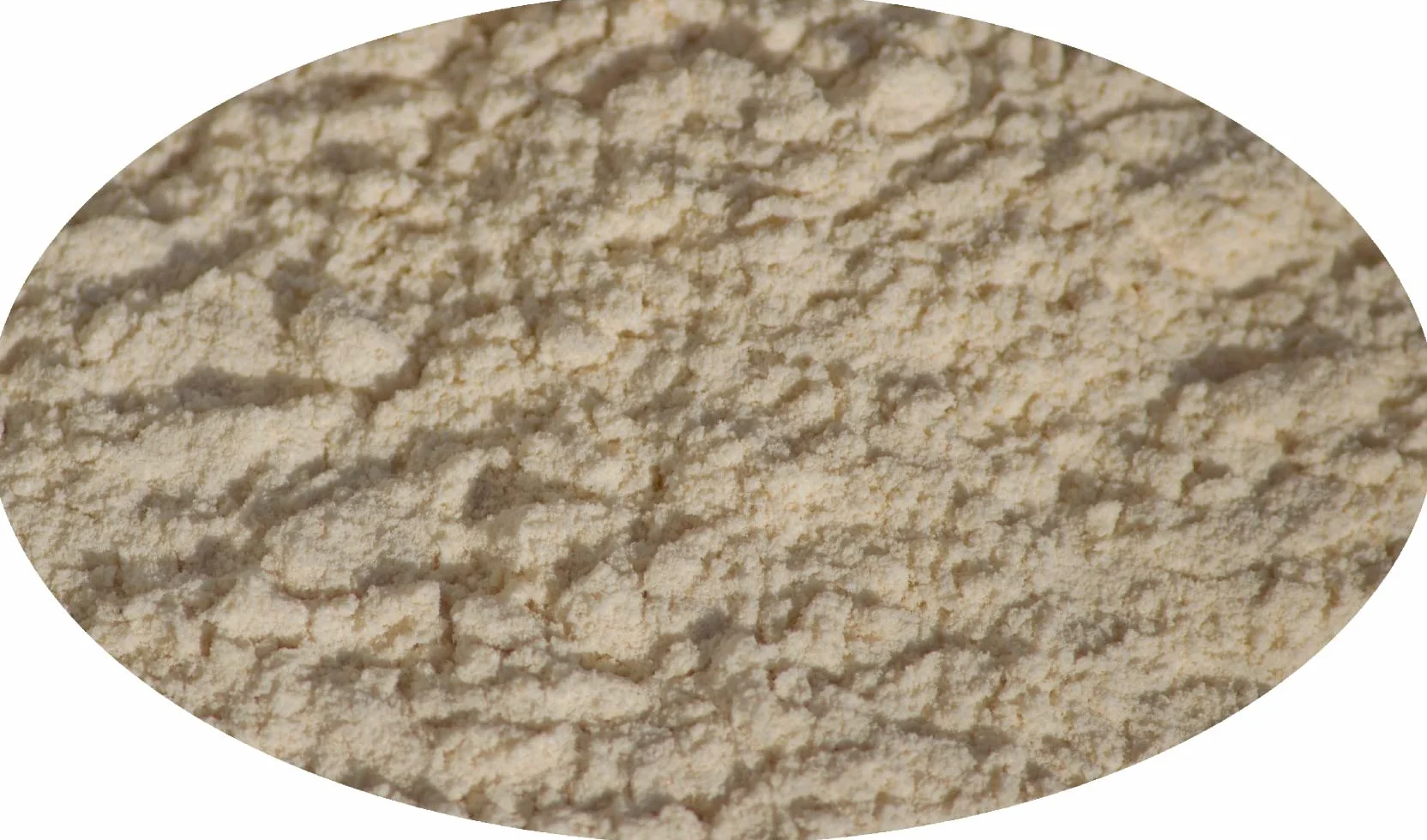 Eder Gewürze - Racines de Céleri en poudre - 1kg