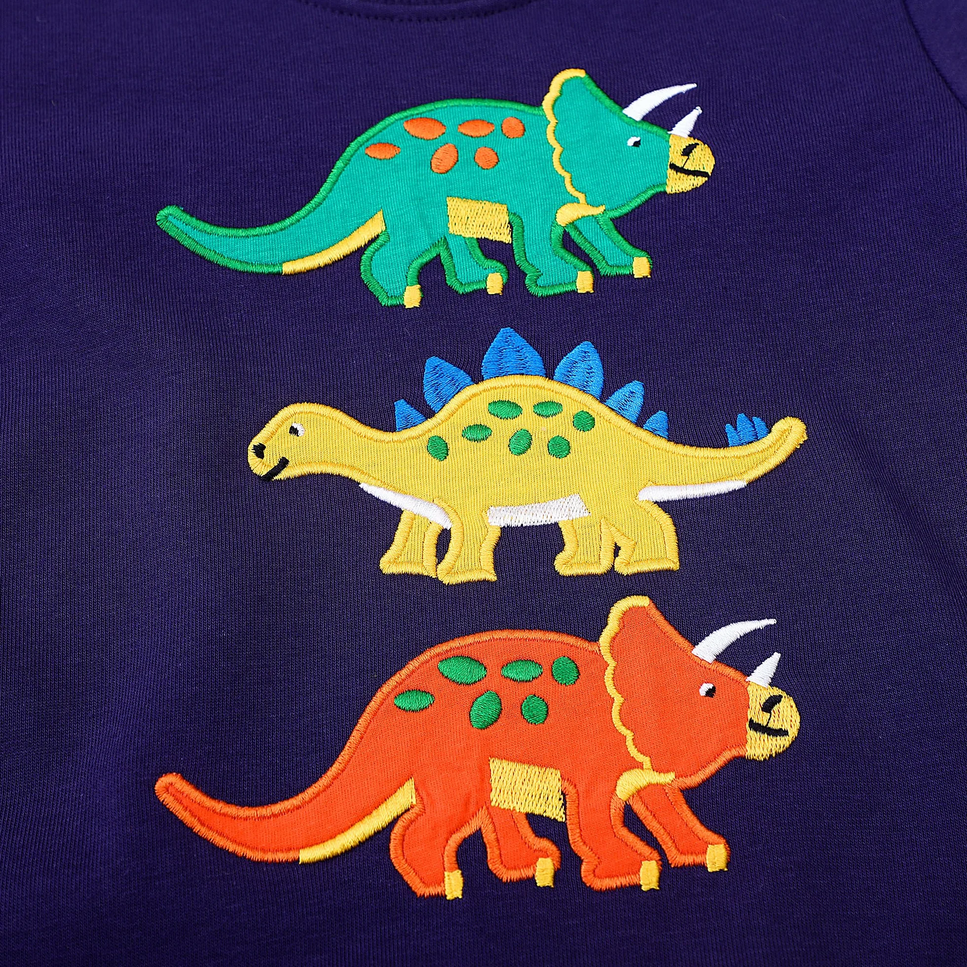Sweatshirt Garçon Dinosaure Imprimé Bleu Marine Pullover Manches Longues Col Rond Enfants 2-7 Ans