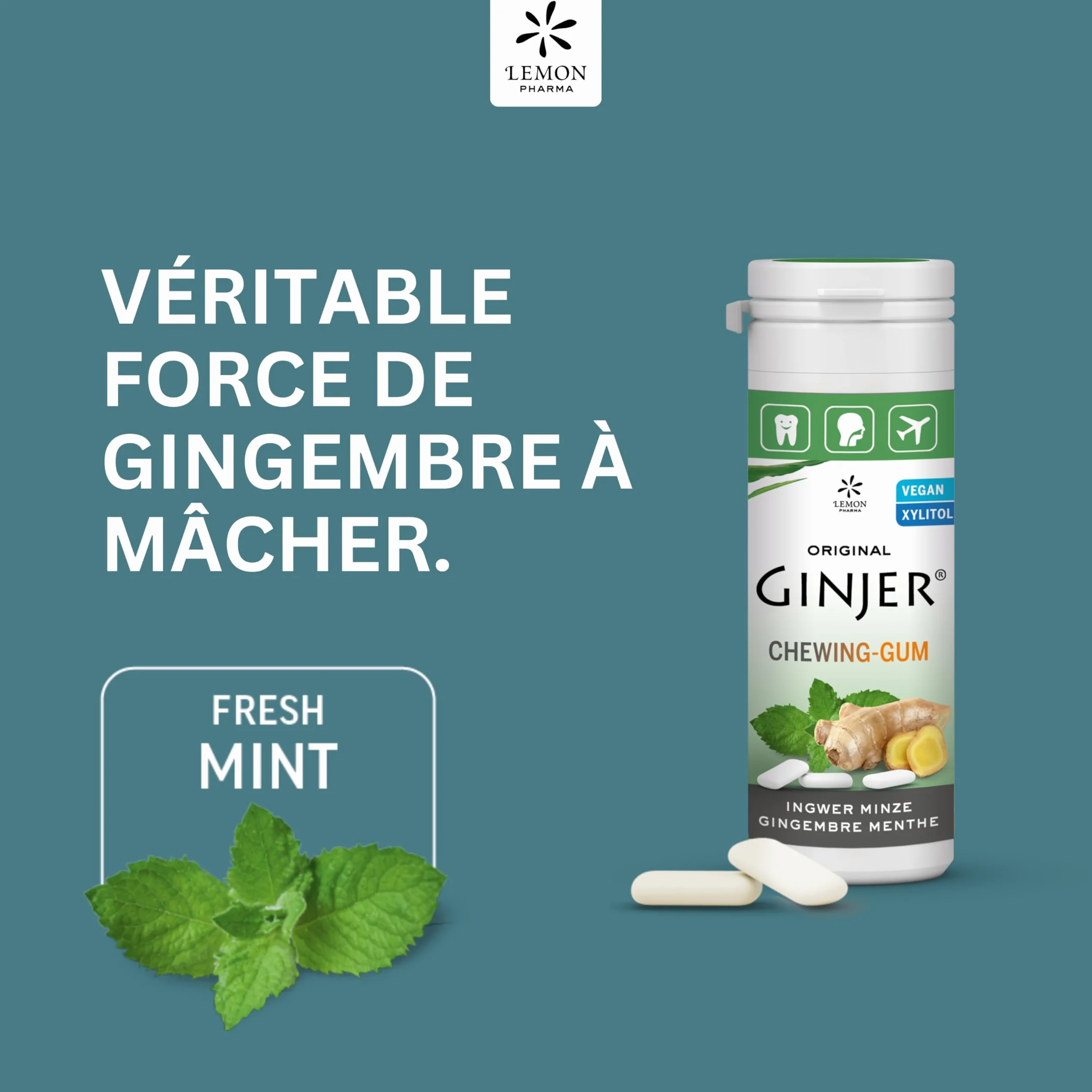 Chewing-gums au gingembre menthe et xylitol Ginjer® Lemon Pharma – Sans sucre – Boite de 30 g