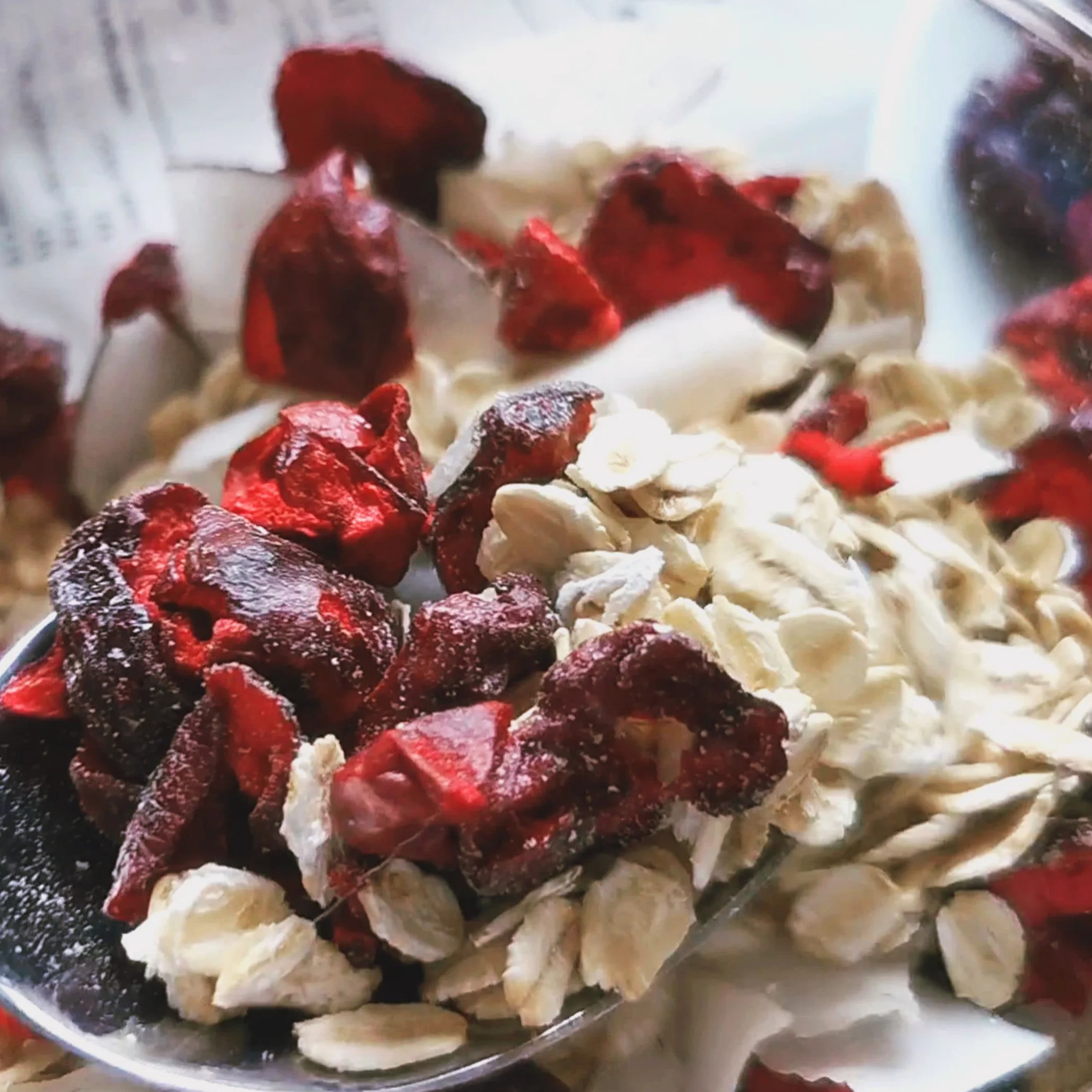 Griotte Lyophilisée en Morceaux | 100% Naturel Fruits Seche Cerise Aigre Lyophilisée | Freeze Dried Fruit Sour Cherry | Gefriergetrocknete Sauerkirschstück | Cerises Lyophilisées Griottes ZingyZoo