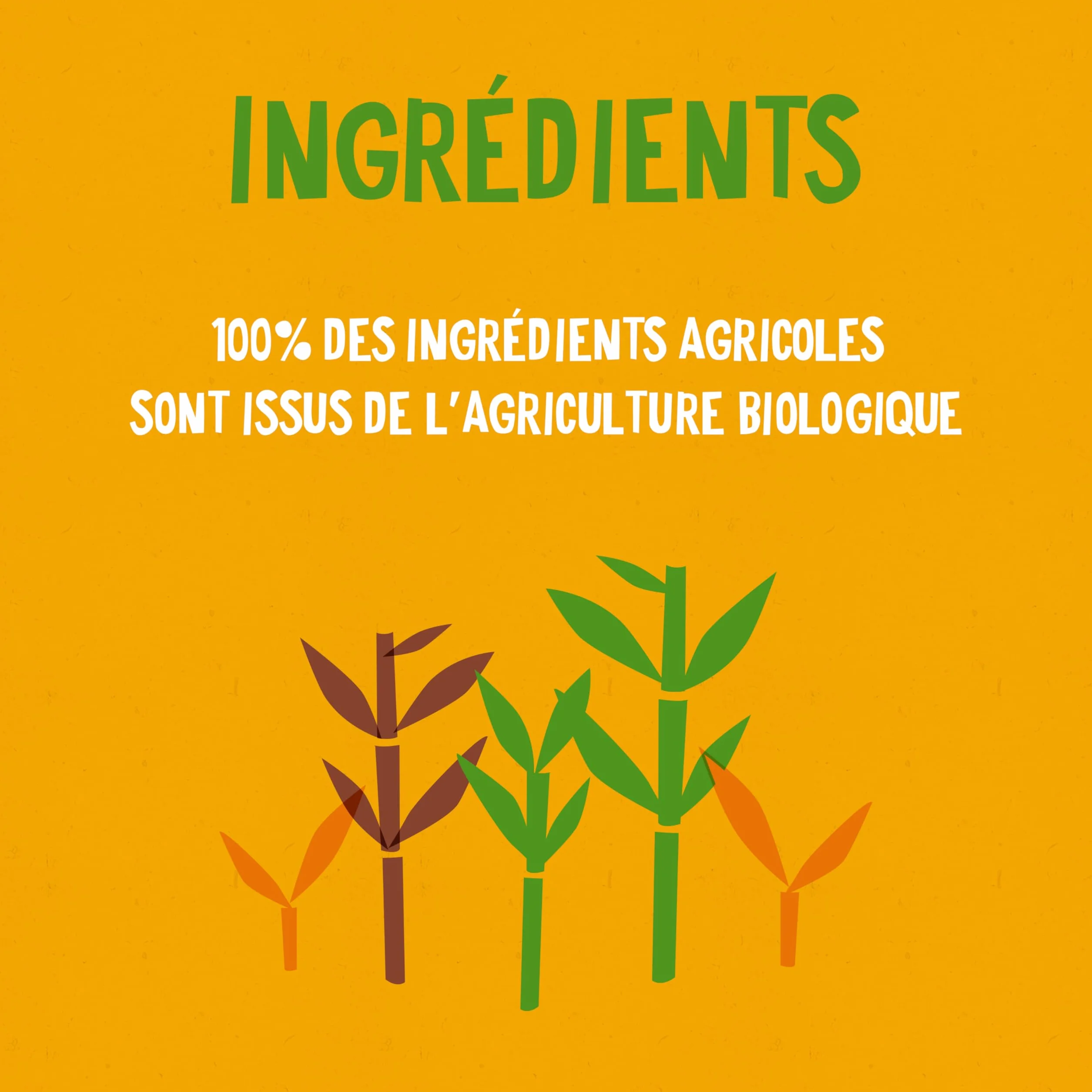 ALTER ECO - Sucre de Canne de Colombie - Sucre Complet Bio et Équitable - Origine Colombie - 400 g