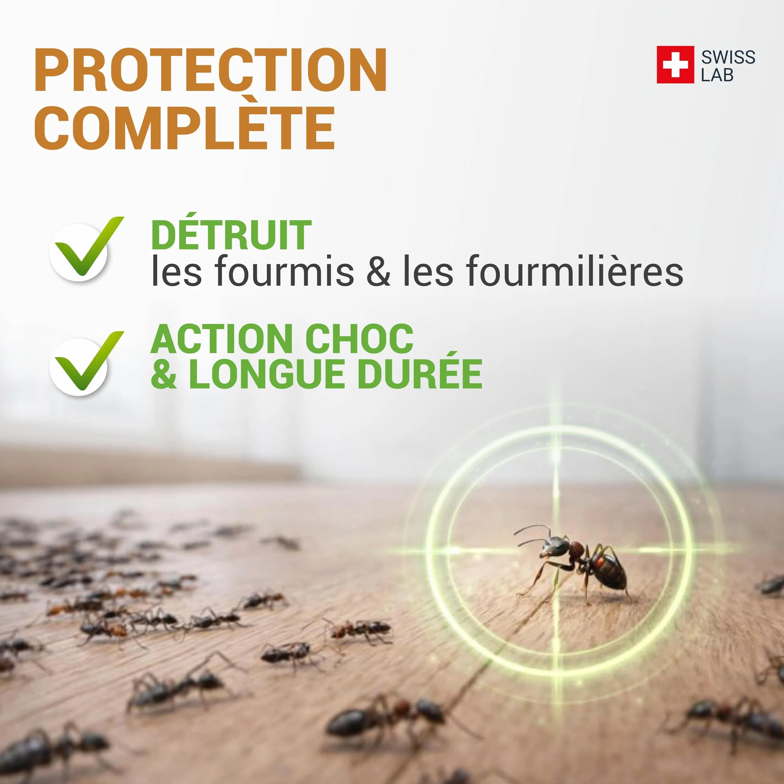 TERRE DE DIATOMÉE MENTHE FOURMIS– EFFICACITÉ FOUDROYANTE – 100% d'ORIGINE NATURELLE - Action IMMÉDIATE et EFFICACE - Swiss Lab