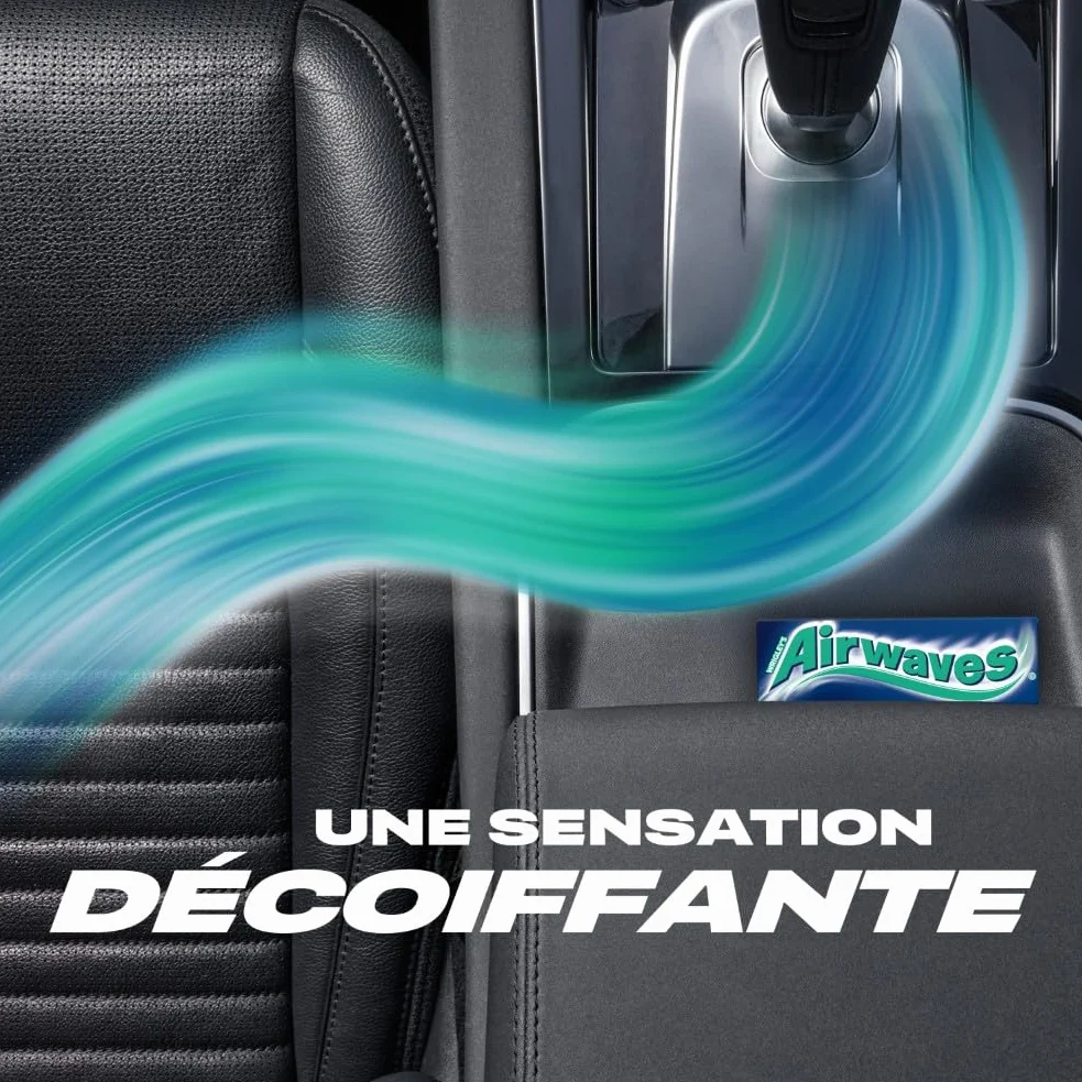 AIRWAVES Chewing Gum Sans Sucre Goût Menthol Eucalyptus Longue Durée 5 Paquets 10 Dragées 70g