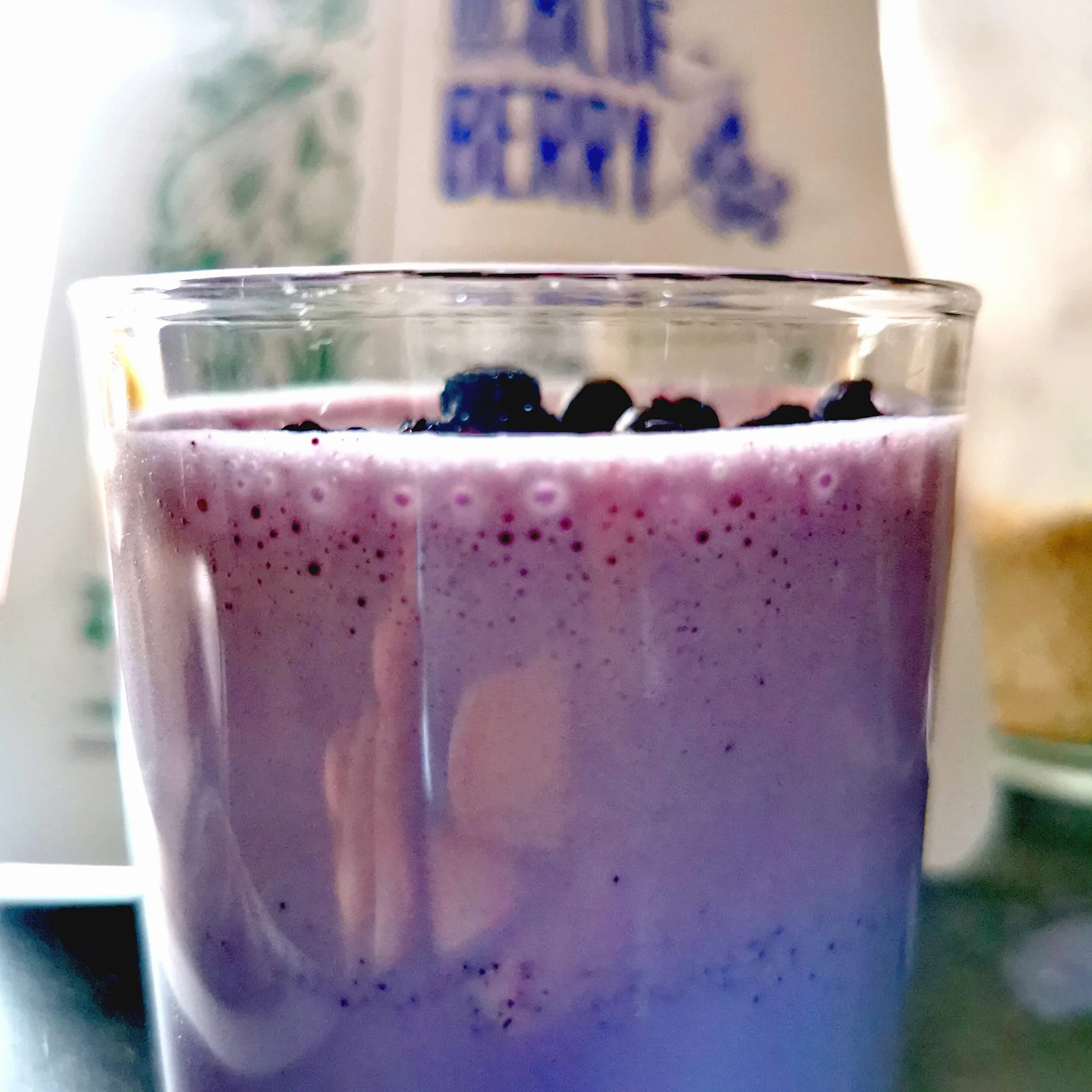 Myrtilles Séchées Bleuet Sauvage | Naturel Fruits Seche | Freeze Dried Fruit Wild Blueberries | Gefriergetrocknete wilde Heidelbeeren | Myrtilles Sechees ZingyZoo (100g)