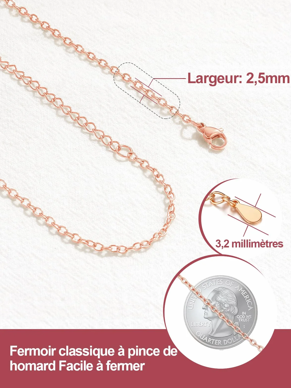 FOCALOOK Collier Chaîne Femme 2.5mm Argent Plaqué Or Noir Rose Acier Inoxydable Maille Forçat Rolo Pendentif 35-75cm 5cm