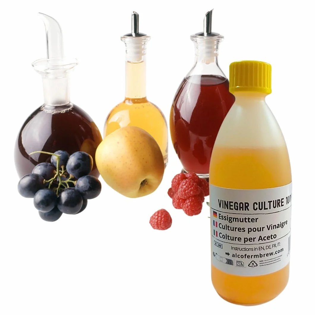 Mère de vinaigre 100 ml, Bactéries acétiques pour fermentation, Culture de fermentation maison, Acetobacter