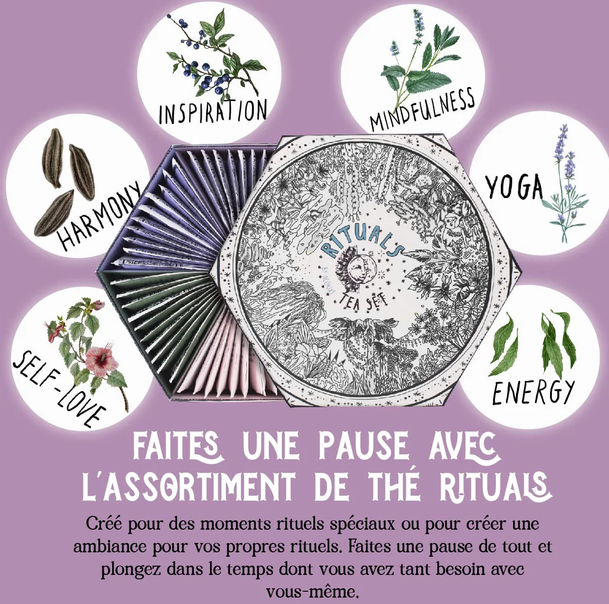 ACORUS | Assortiment de thé Rituals | Coffret cadeau de 6 paniers à thé naturels assortis | Créez vos rituels quotidiens | Grande boîte de sélection | 60 sachets de thé