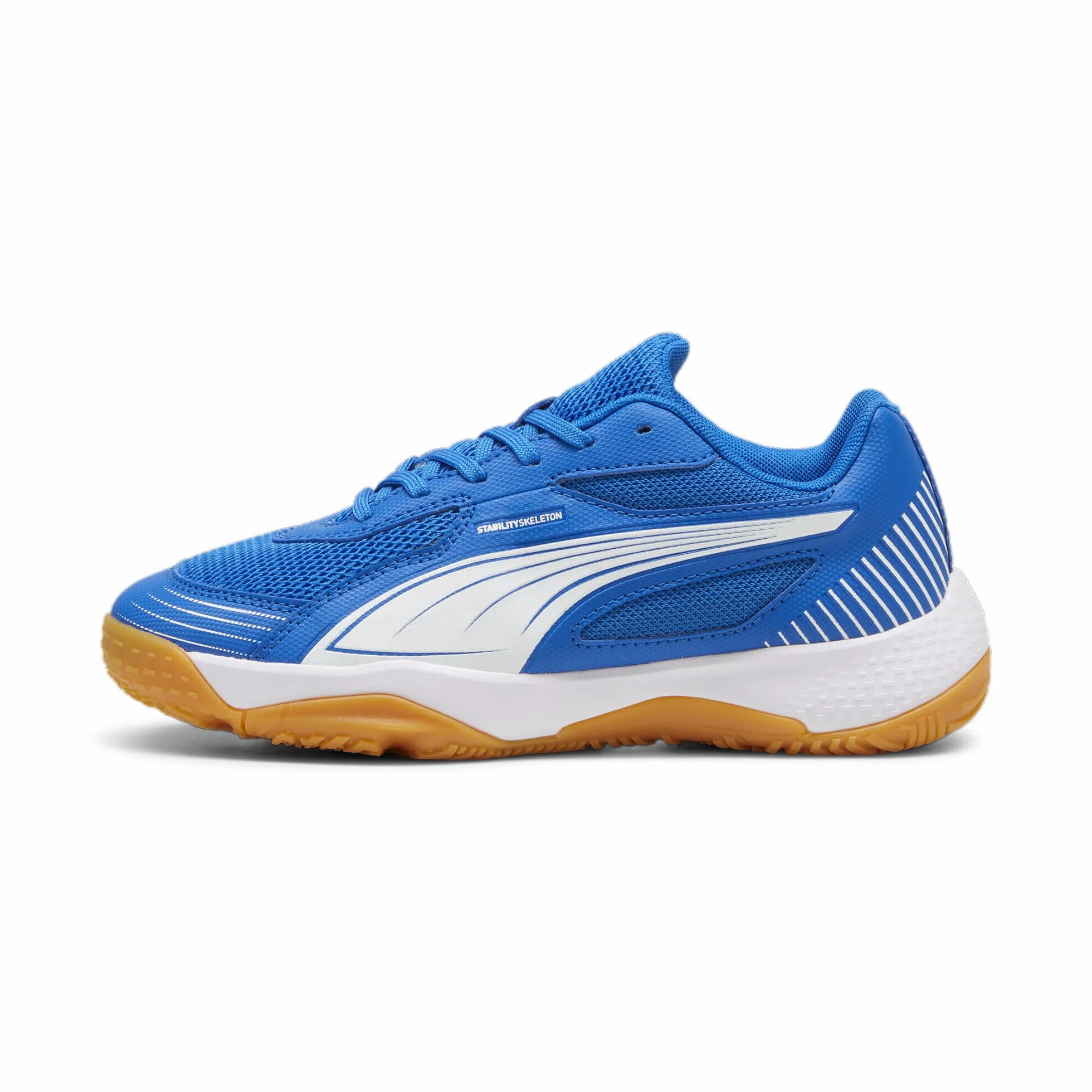 PUMA Chaussures de Sport Indoor Solarflash III Enfant Adolescent