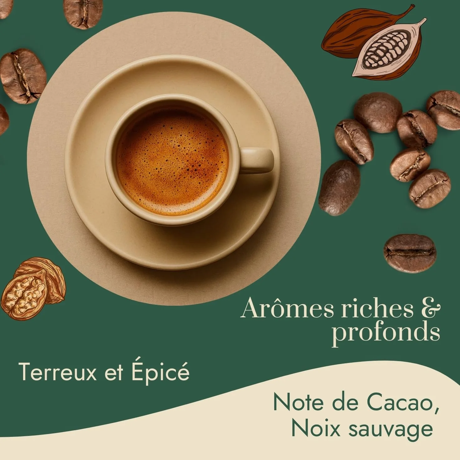 Graindecafé – Café Vert Éthiopie Djimmah G5 1kg | 100% Arabica Naturel Non Torréfié | De Forêt À Torréfier Soi-Même | Notes De Moka Et Épices | Idéal Machine À Grain Une Fois Torréfié