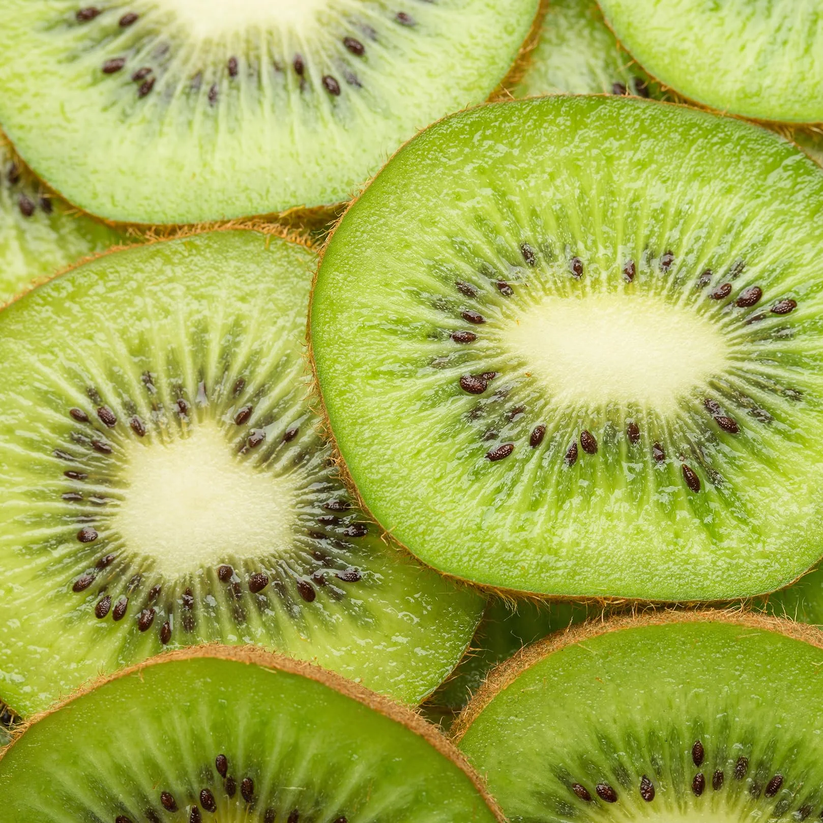 Teisseire Sirop de kiwi qualité professionnelle 100cl