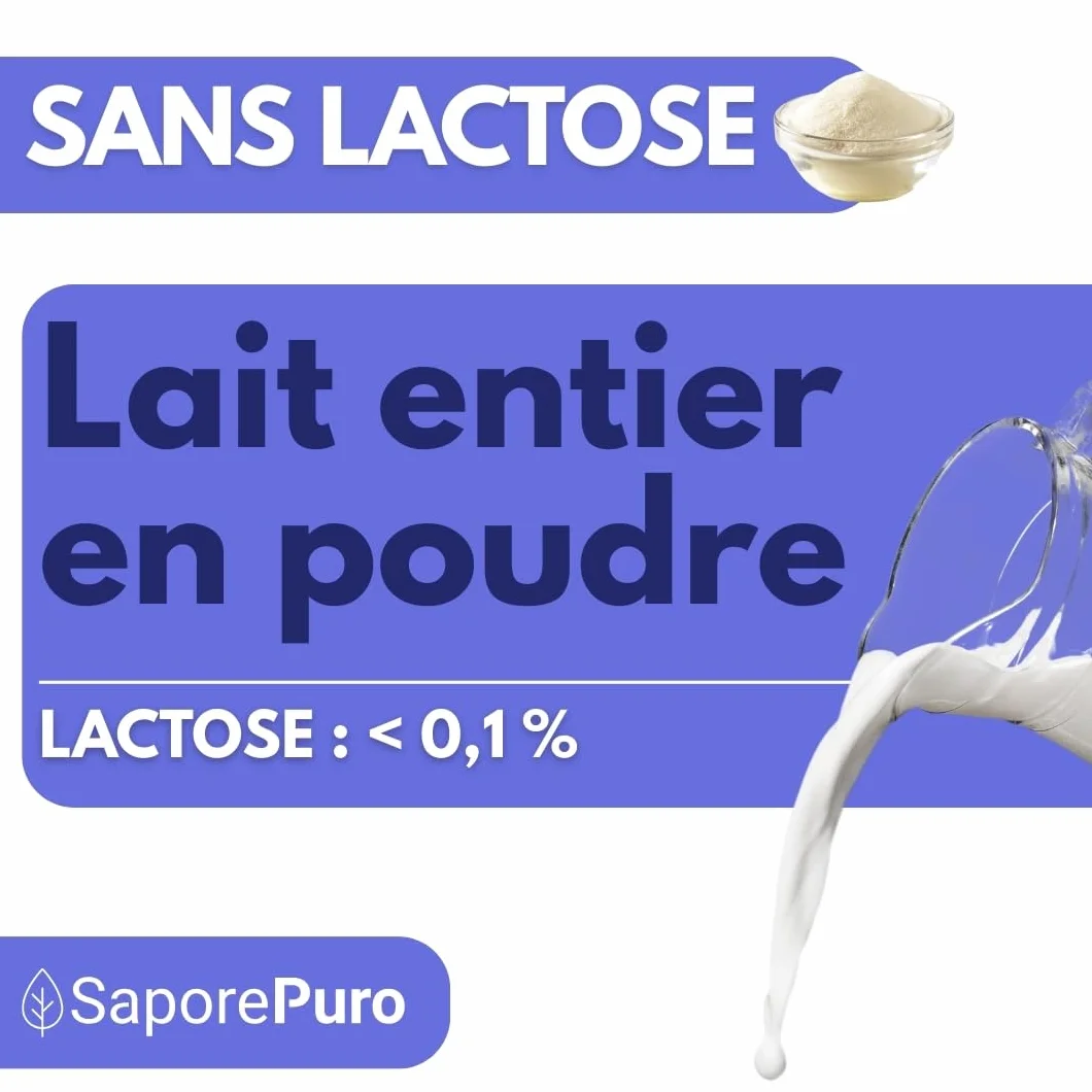 SaporePuro Lait Entier Déshydraté Sans Lactose 1 kg | Haute Solubilité | Idéal pour Pâtisseries, Pain et Glace Artisanale | Usage Professionnel et Industriel | Sans Lactose | Sans Gluten