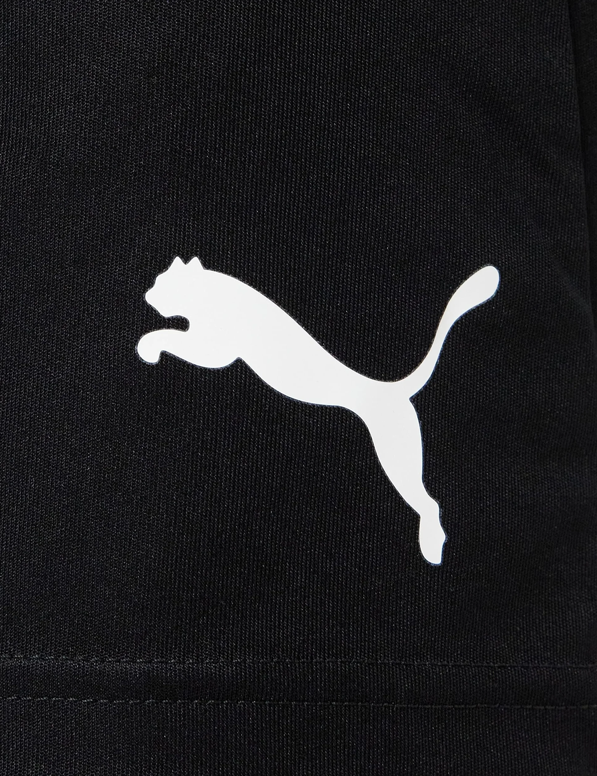Puma Teamliga Shorts Homme Court Sport