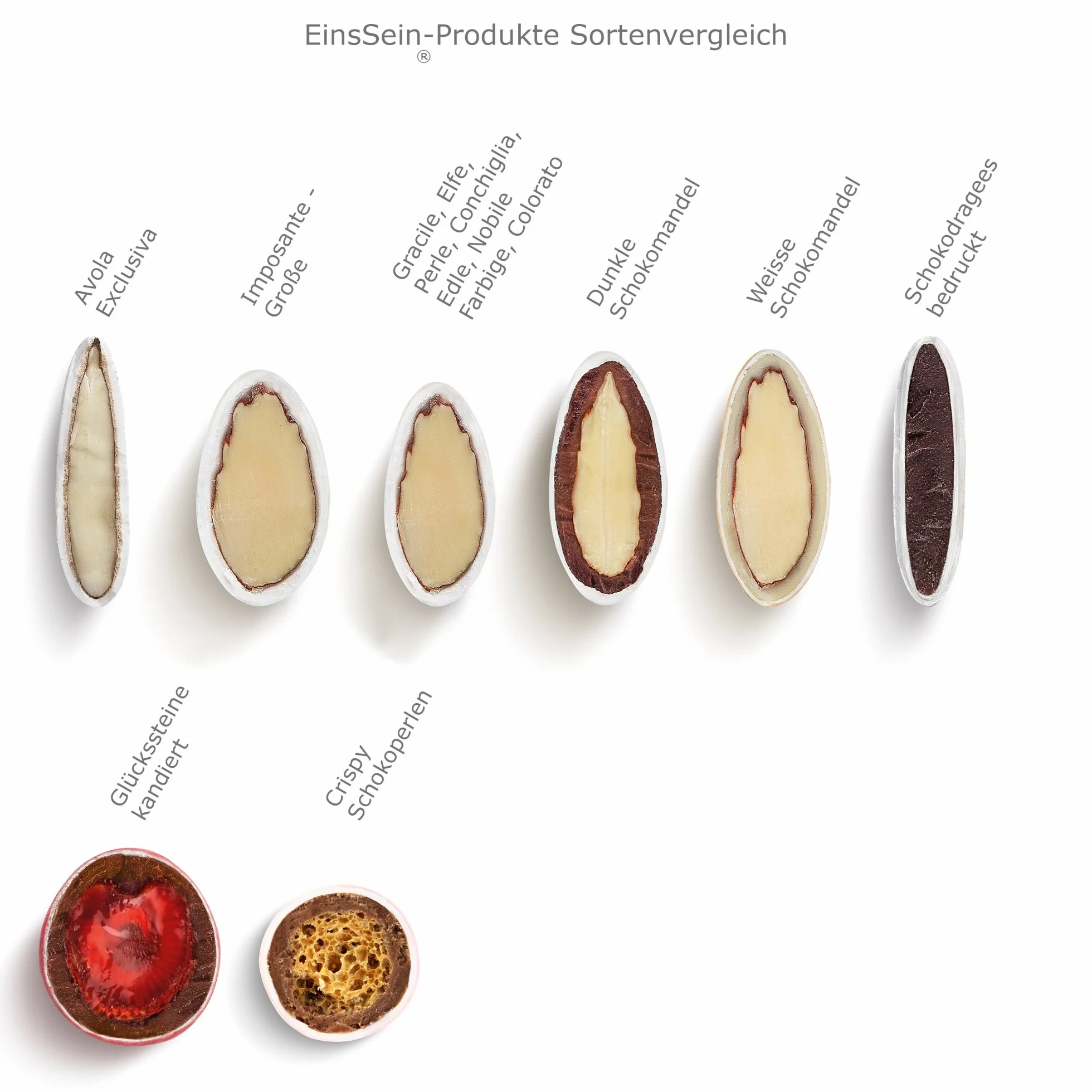 EinsSein Dragées Mariage Amandes 1 kg – Environ 280 Pièces Conchiglia Blanc & Or Brillant