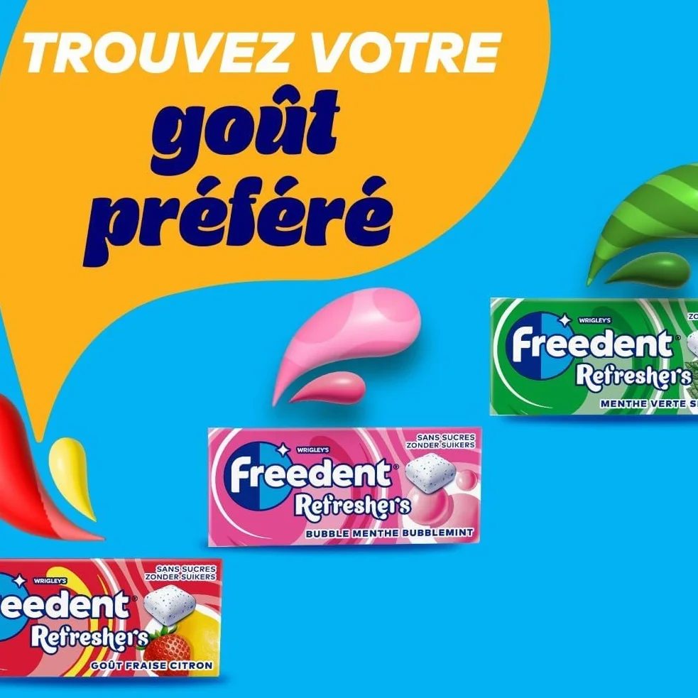 FREEDENT REFRESHERS Chewing Gum Sans Sucre Goût Menthe Verte 12 Paquets 96 Dragées