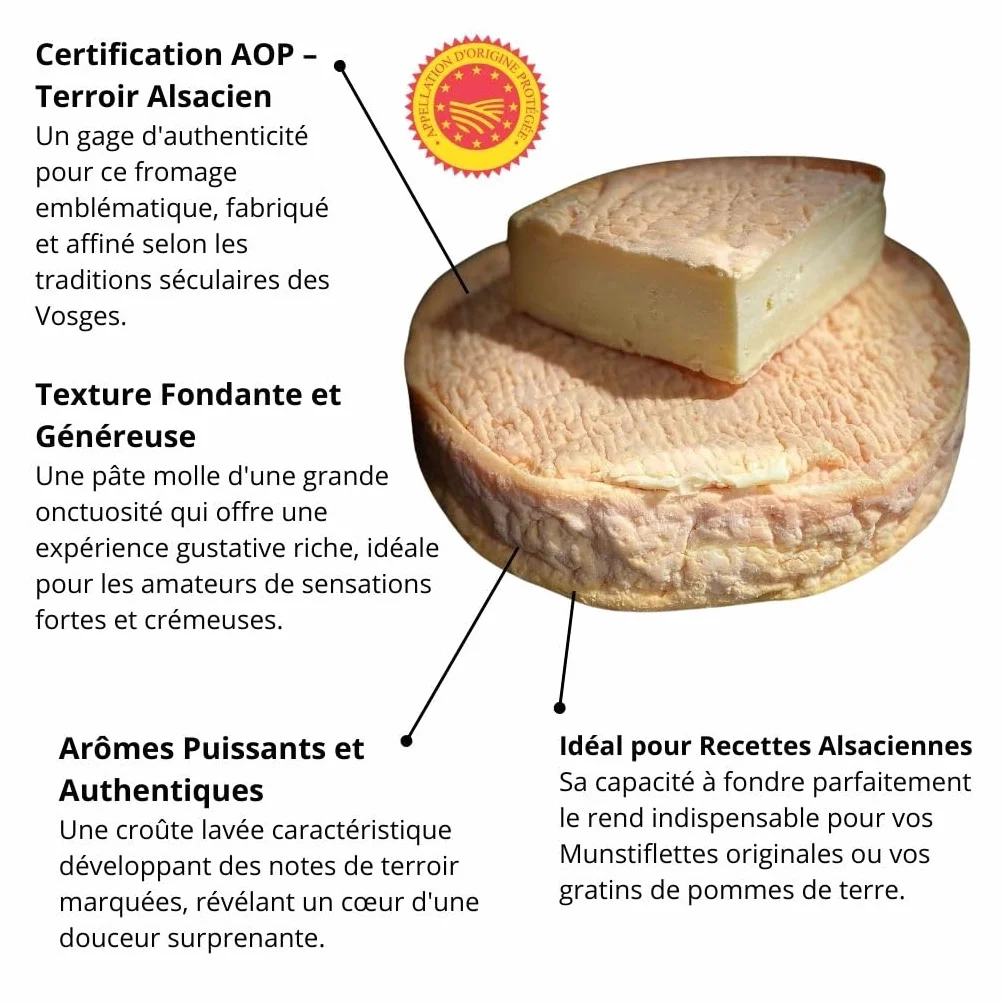 Munster fermier AOP Nature – Fromage d’Alsace au Lait cru de Vache – Pièce Entière (+/- 800g) – Texture Fondante & Arômes Typés – Affinage Traditionnel sur planche