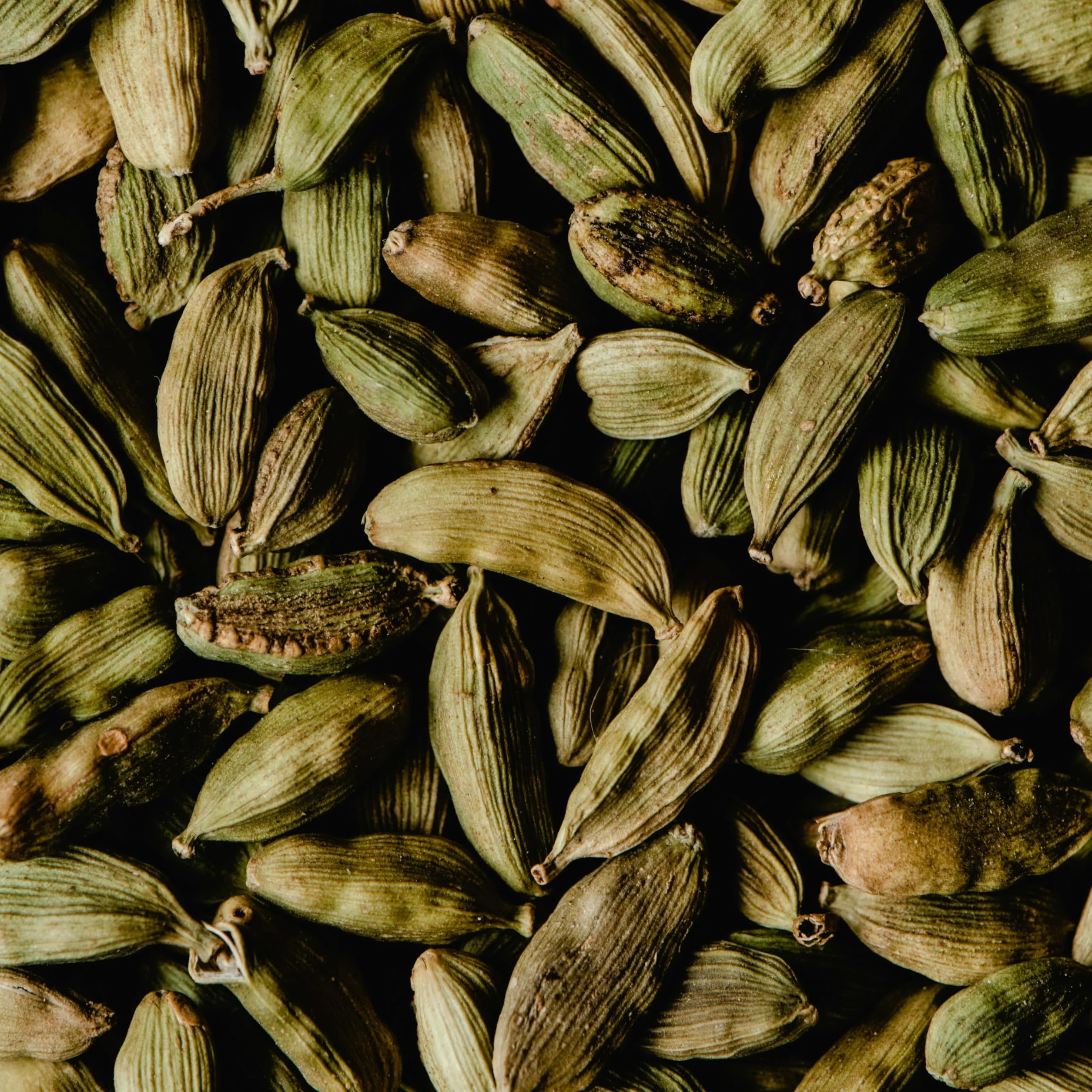 Cardamome (graines) 500 g- LA PLANTIGO Un choix savoureux, Qualité Supérieure, Sachet avec Zip, Cardamome Gousses Entières - Graines Cardamome Vertes