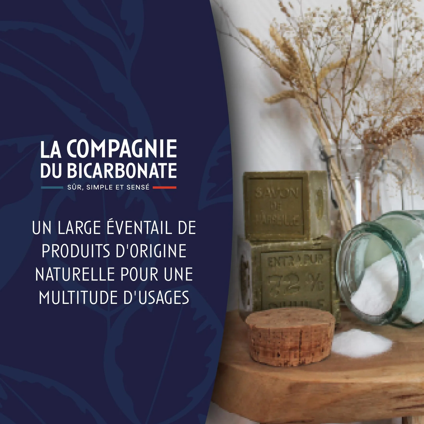 Bicarbonate de Soude Extra Fin - Sachet Kraft 1kg - certifié par ECOCERT - Usage Dentaire, Cosmétique, Déodorant, Maison - Poudre Polyvalente Ultra Pure - La Compagnie du Bicarbonate