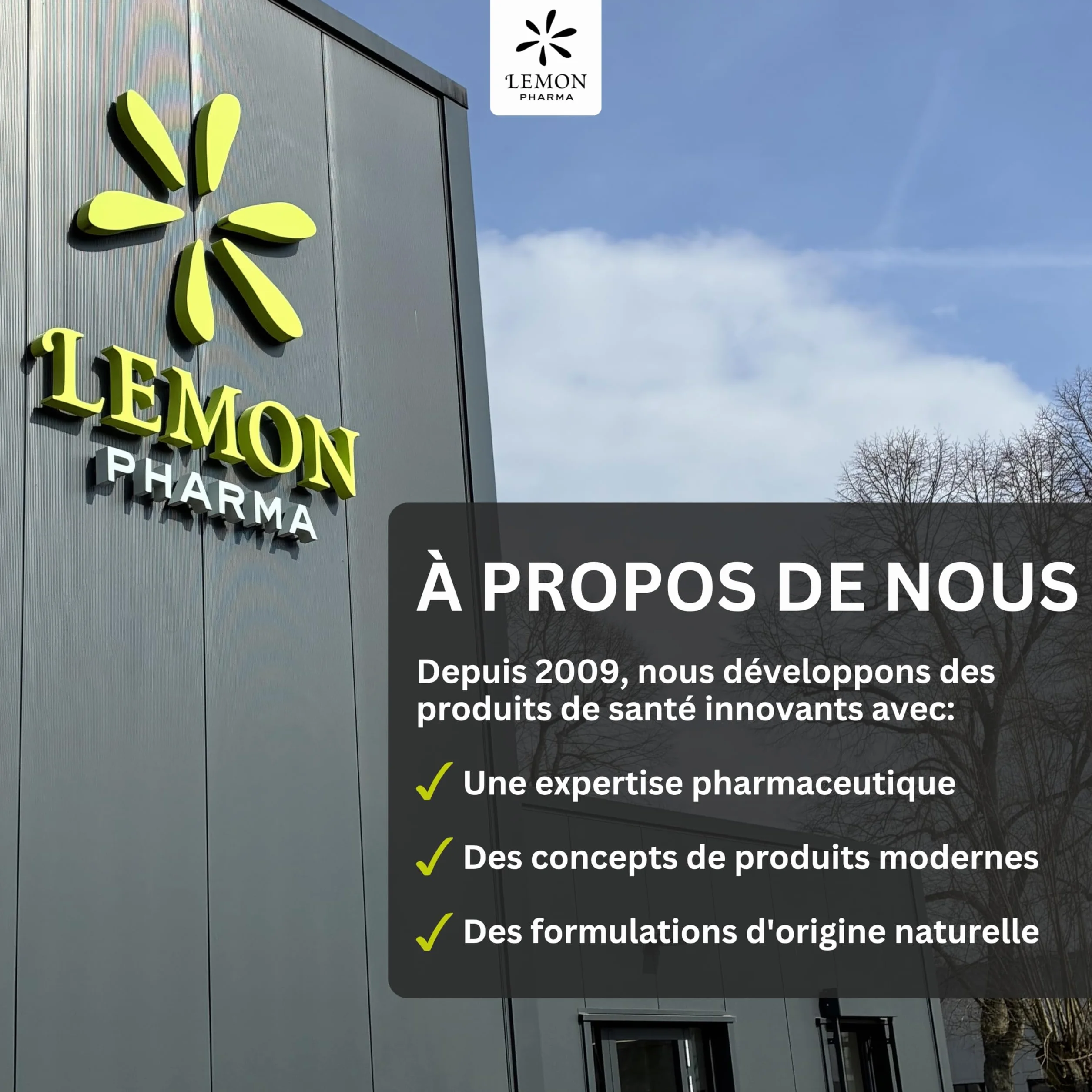 Chewing-gums au gingembre menthe et xylitol Ginjer® Lemon Pharma – Sans sucre – Boite de 30 g
